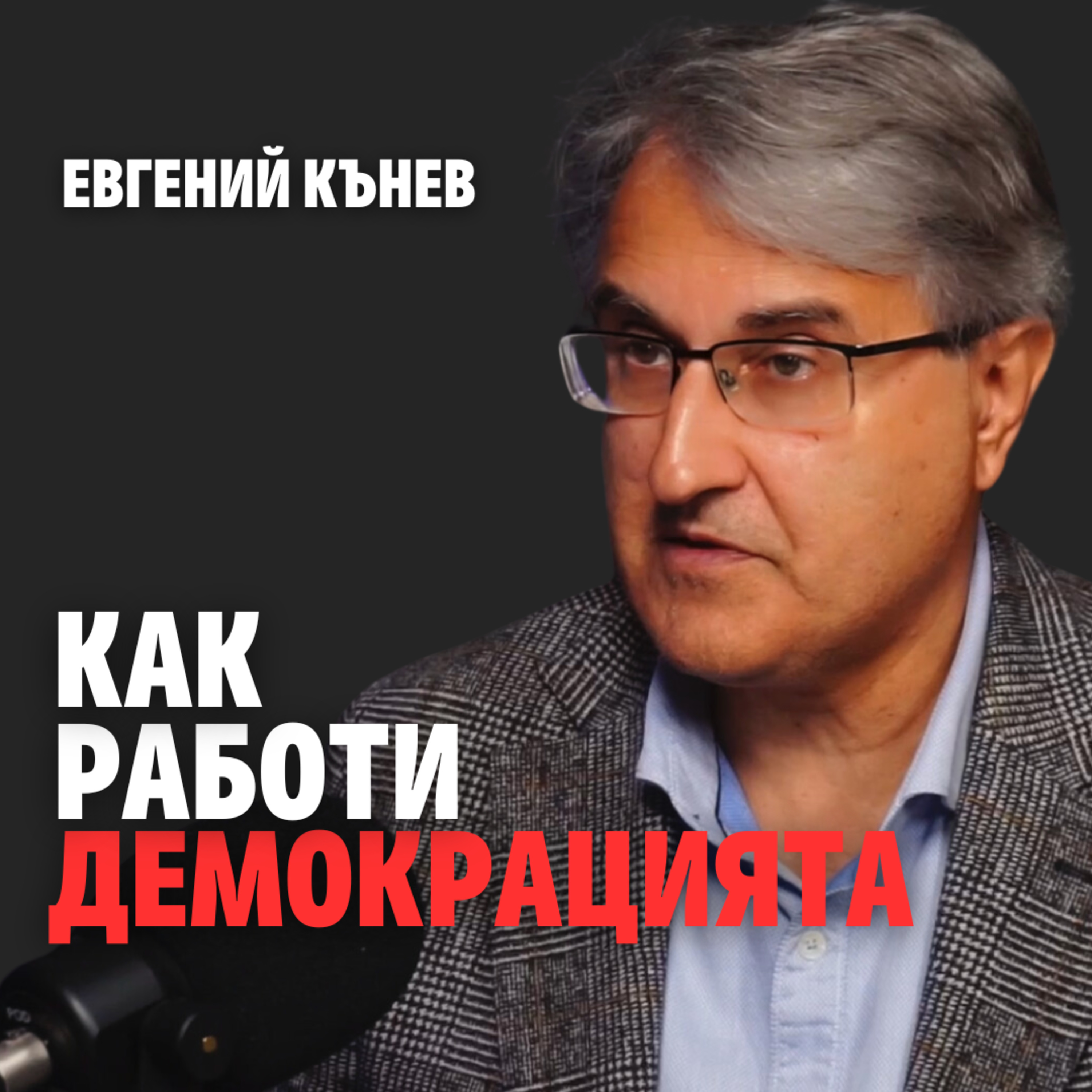 176: Как работи демокрацията episode artwork