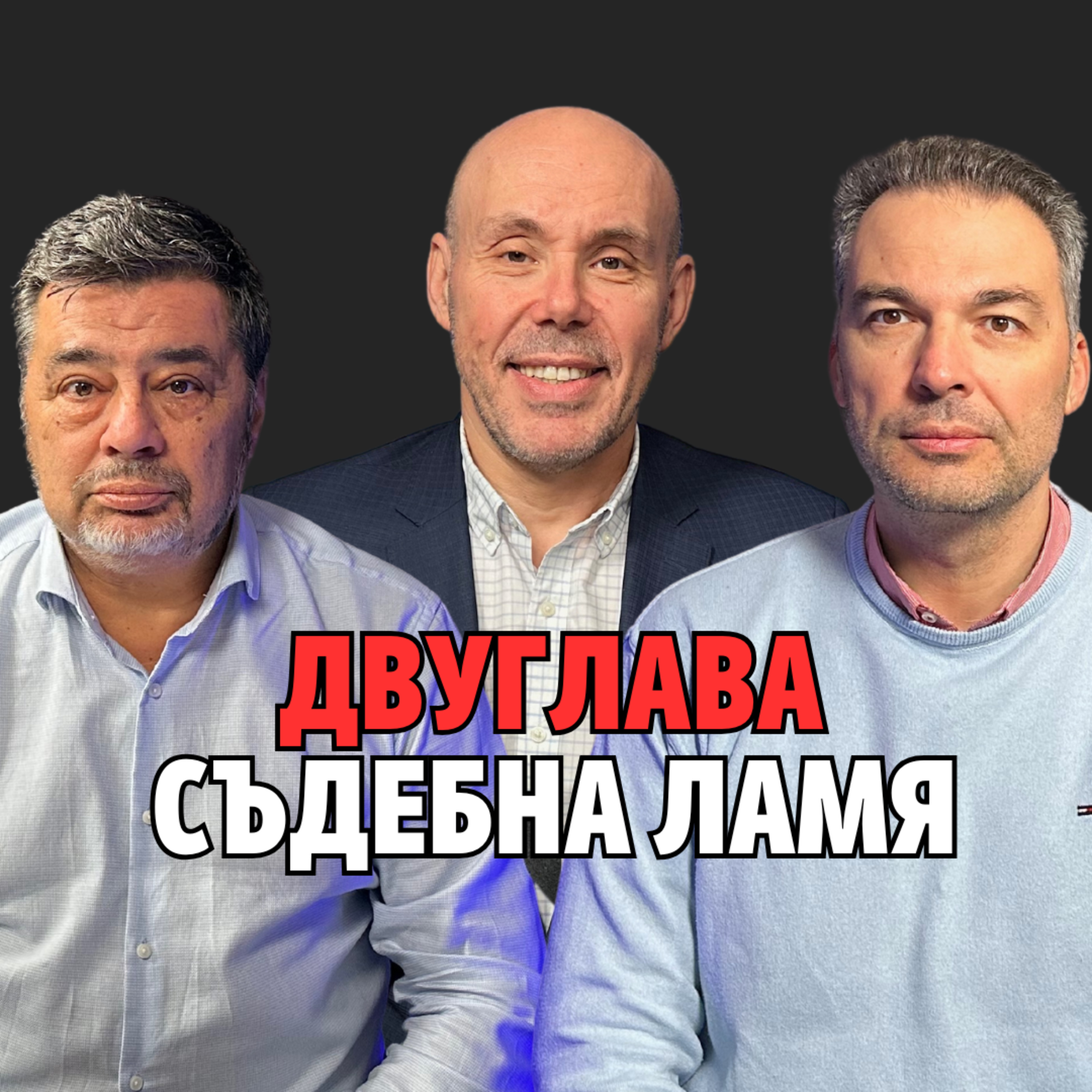 235: Двуглава съдебна ламя (аудио) episode artwork