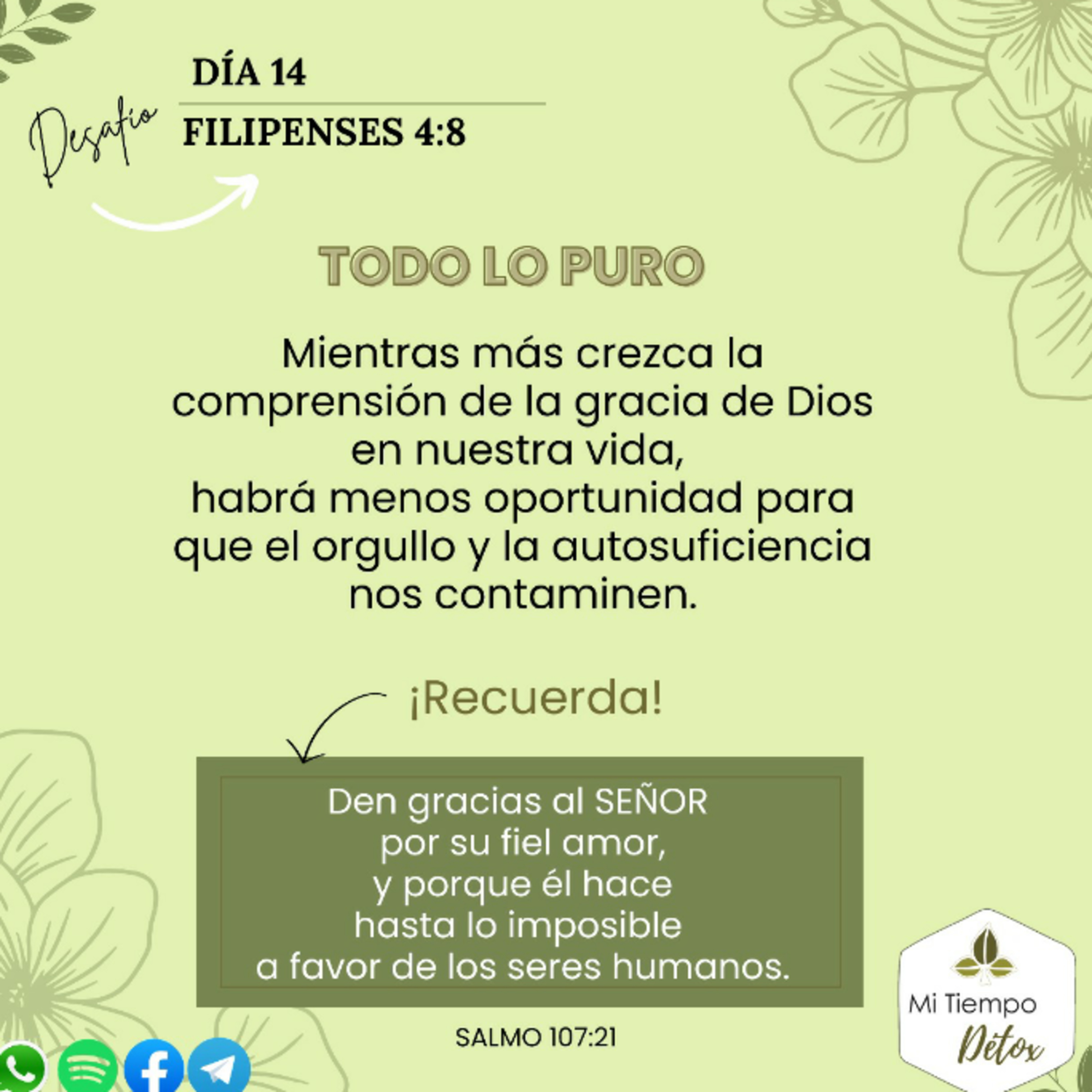 Día 14 - Desafío filipenses 4:8 episode artwork