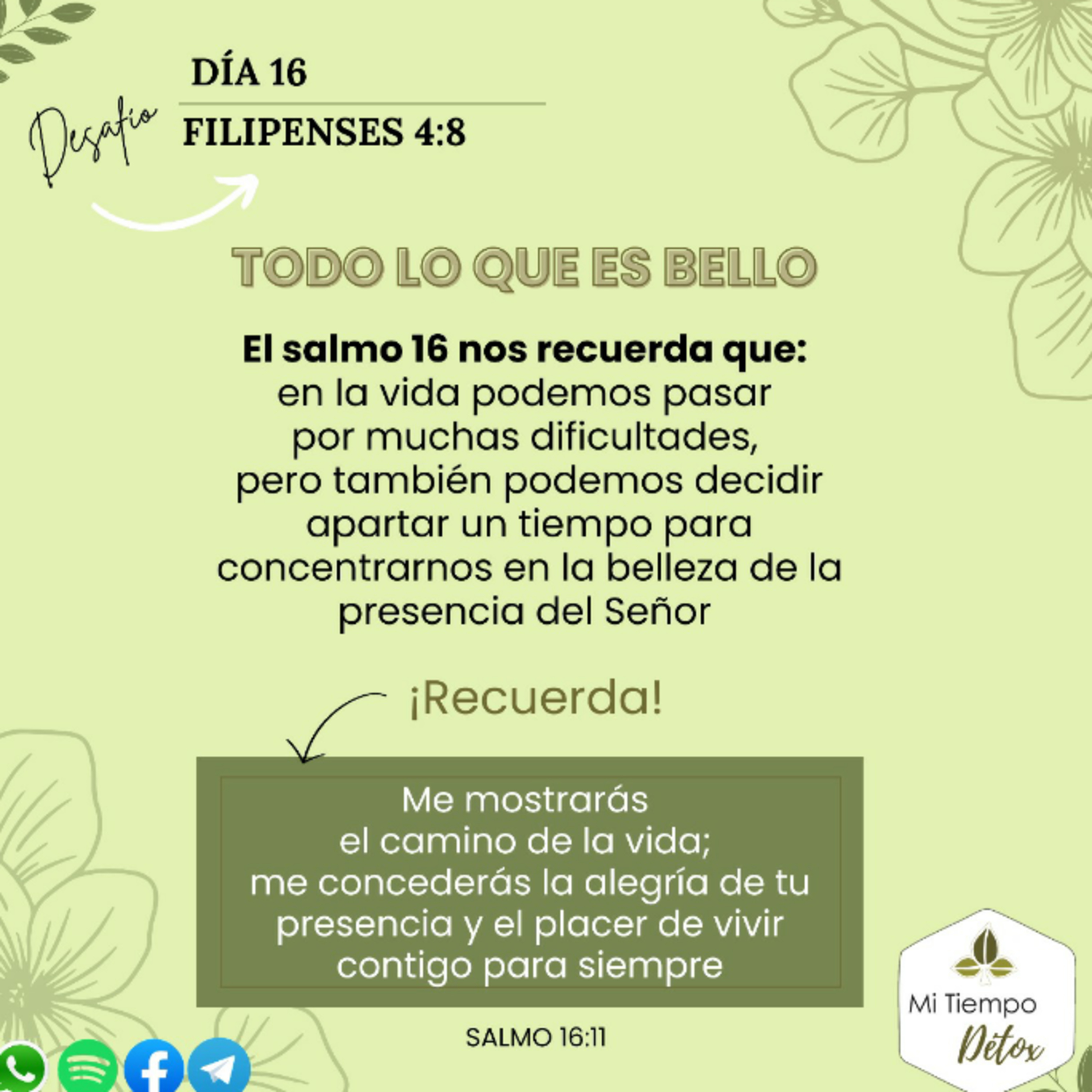 Día 16 - Desafío filipenses 4:8 episode artwork