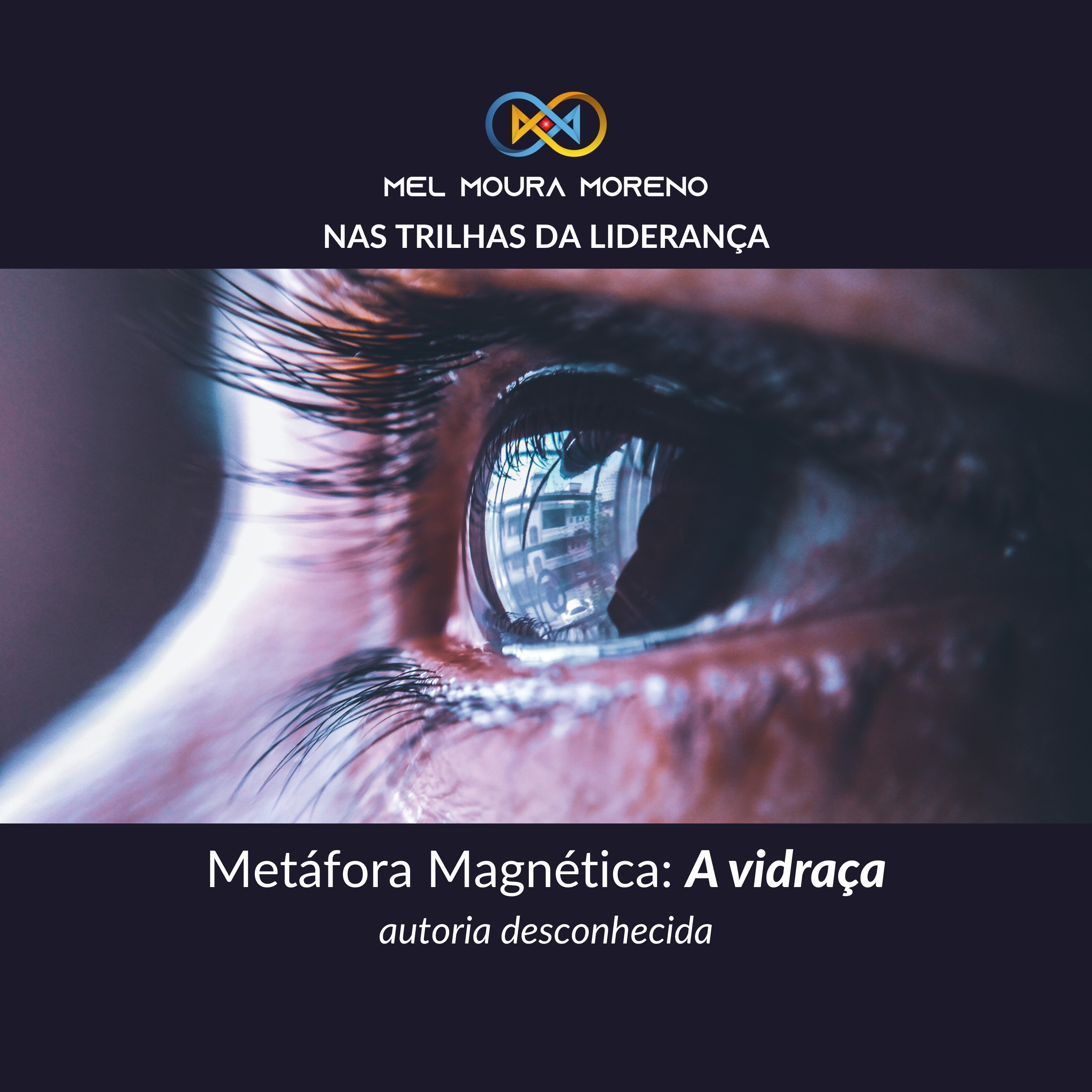 T1/E1 Metáfora Magnética: A Vidraça episode artwork
