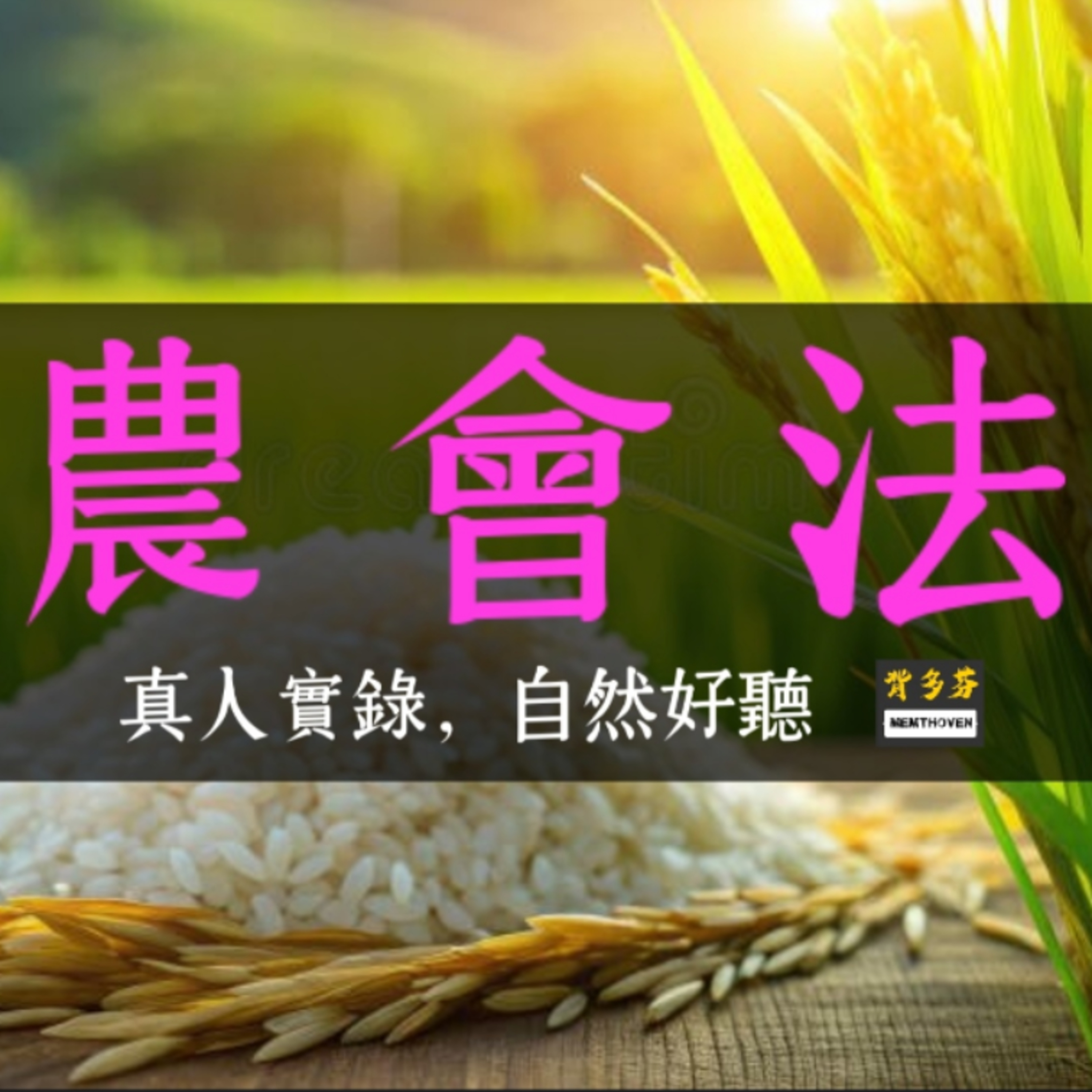 115農會招考《農會法》真人朗讀 | 會務行政 信用業務 財務管理 保險業務 行銷業務 | Memthoven 背多芬 用聽的上榜 episode artwork