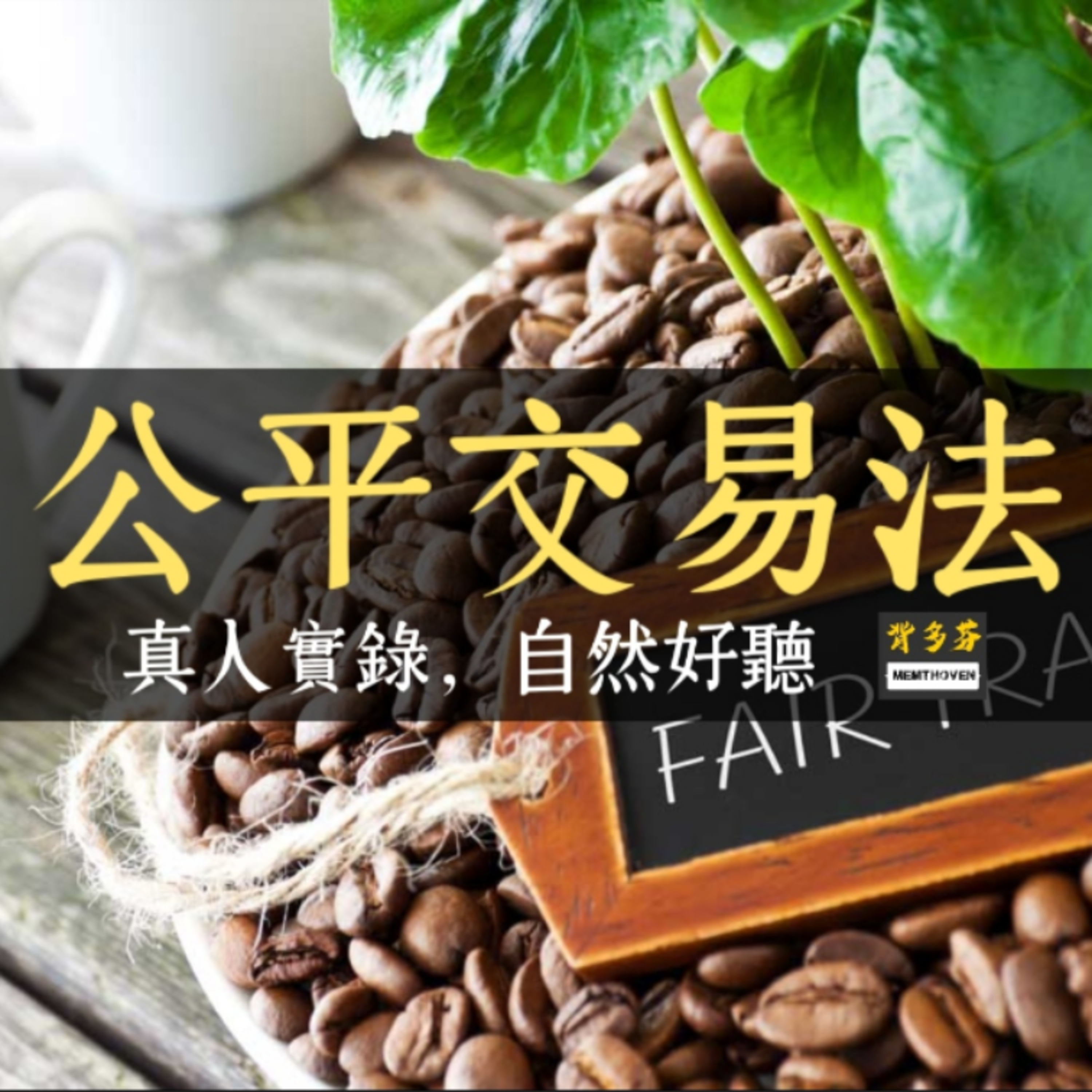 《公平交易法》真人朗讀 | 公平會 經濟法 商事法 國營法務 商業行政 財法所 高普考 episode artwork