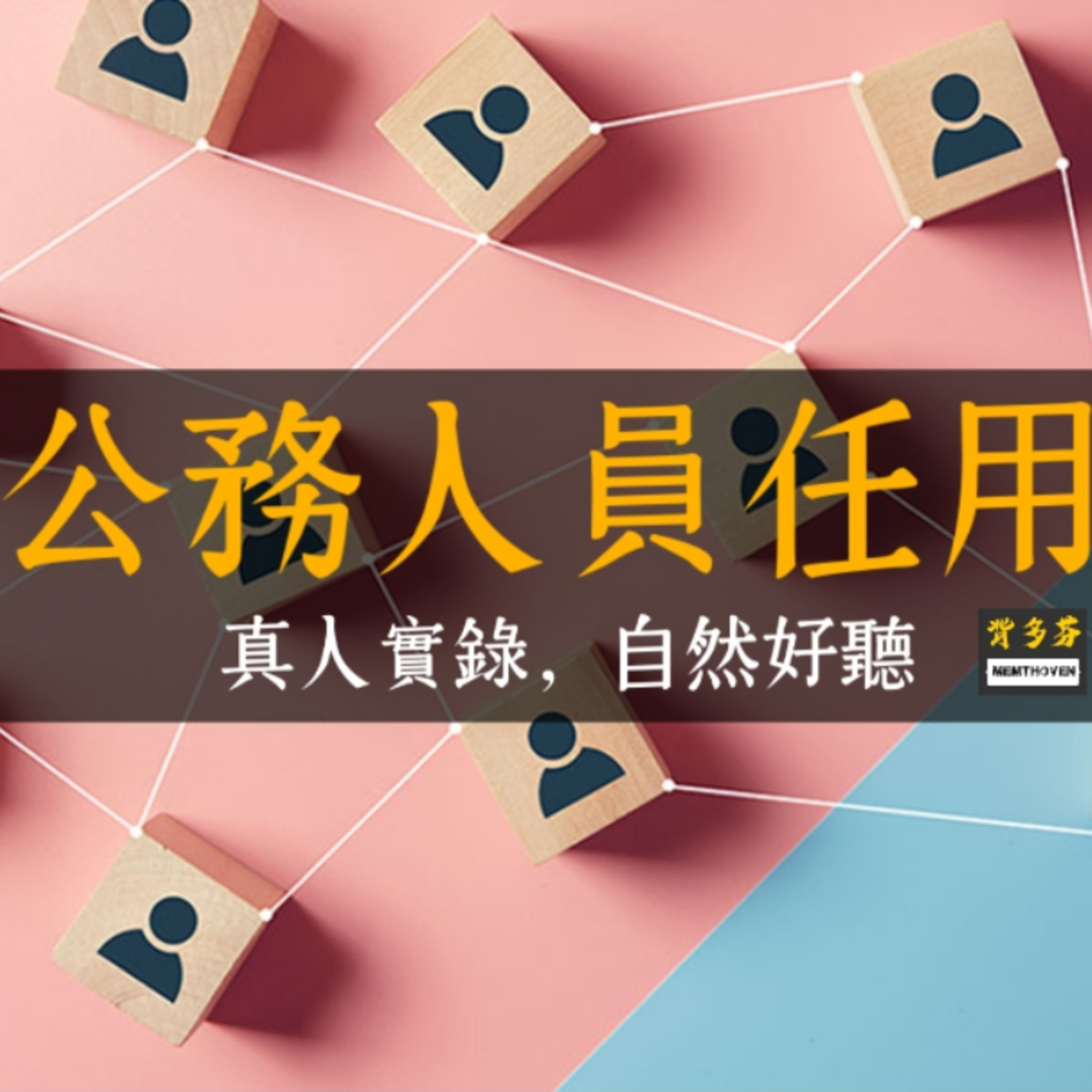《公務人員任用法》真人朗讀 | 114.8.1最新版 | 銓敘部 官等 職等 初任 轉任 調任 兼任 高普考 迴避任用 升等考 職務列等 人事行政 戶政 民政 公務員法 episode artwork