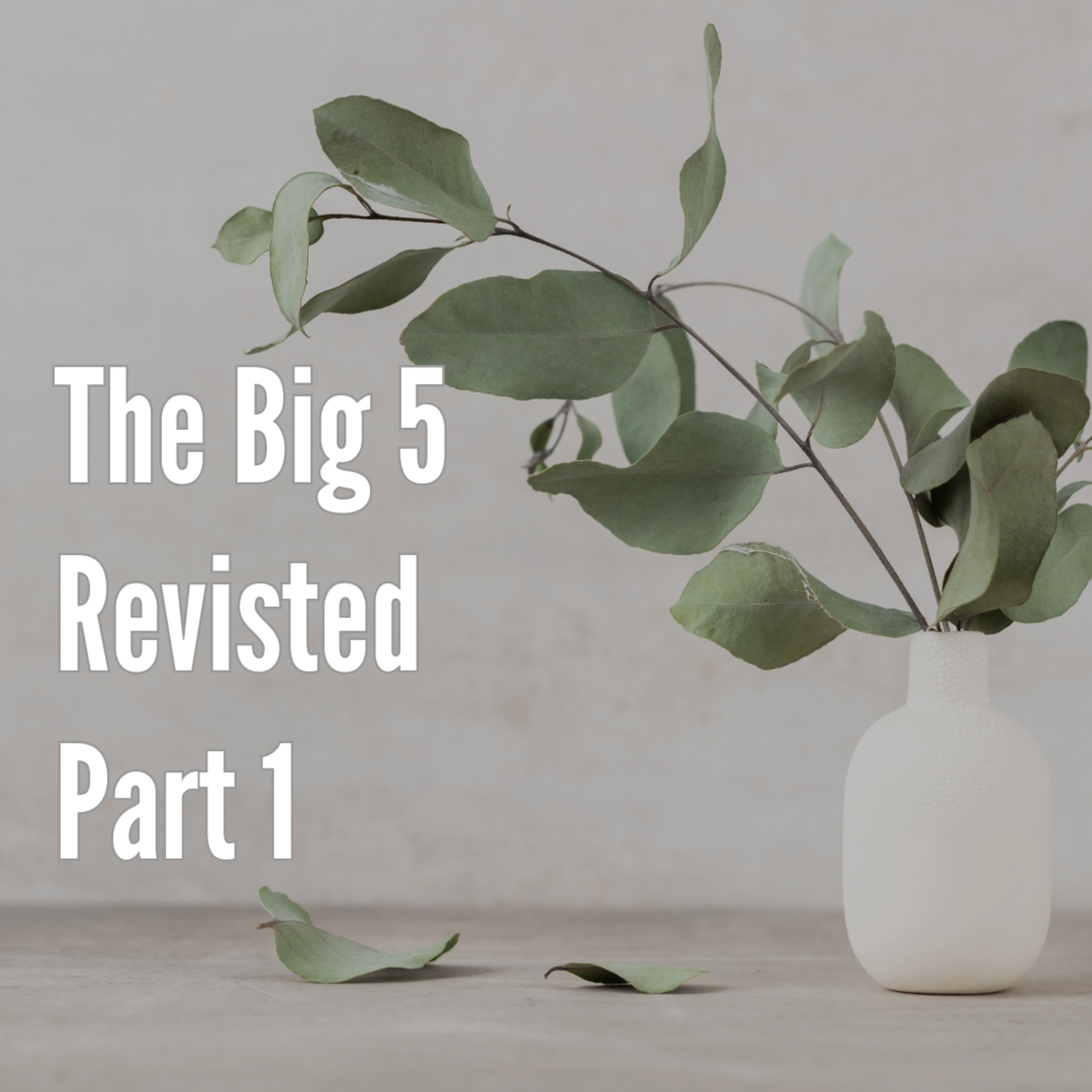 Big 5 Revisited: Unpacking Personality in the Quest for Self-Understanding