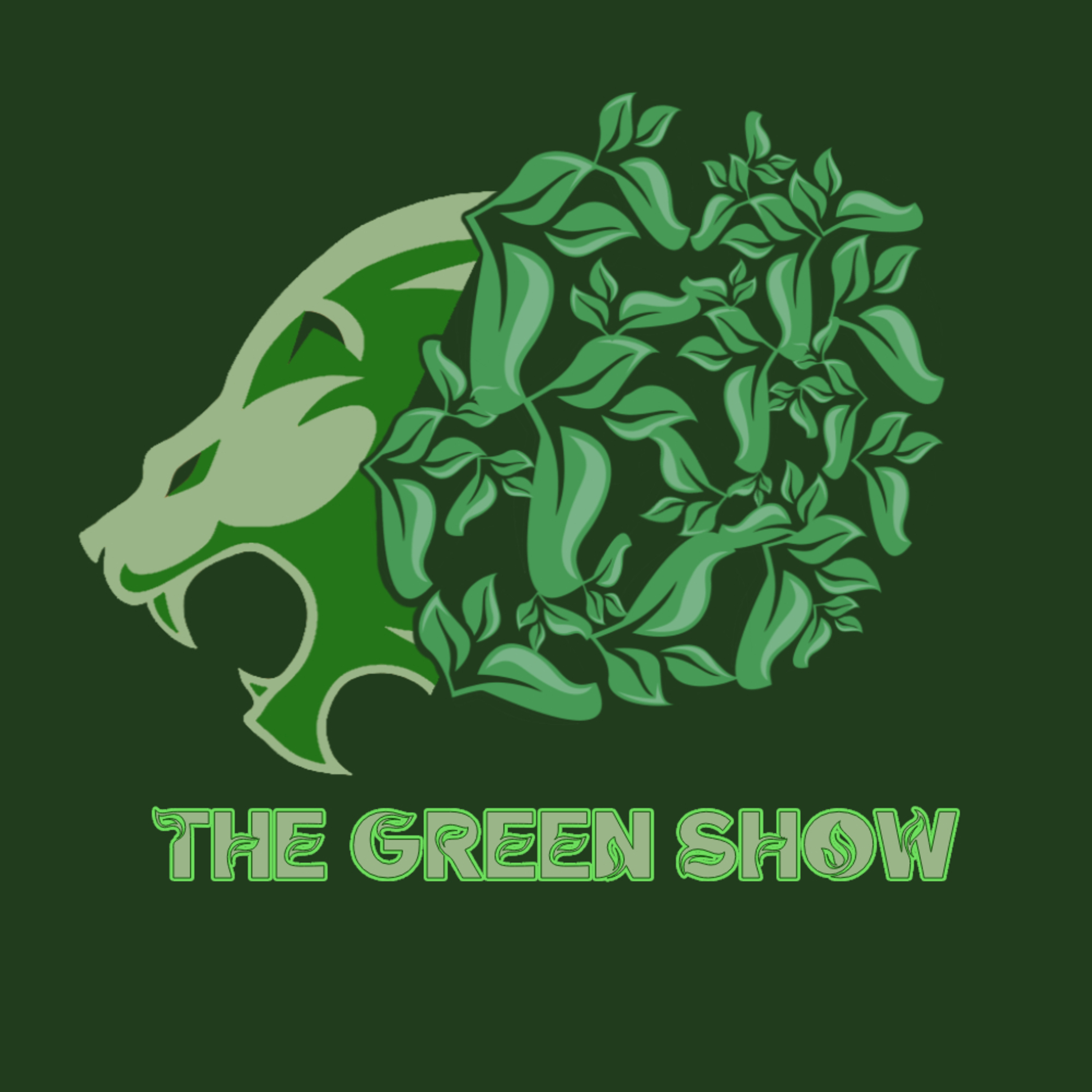 How Impressive Is Birmingham Breaking The League One Points Record? | The Green Show #13