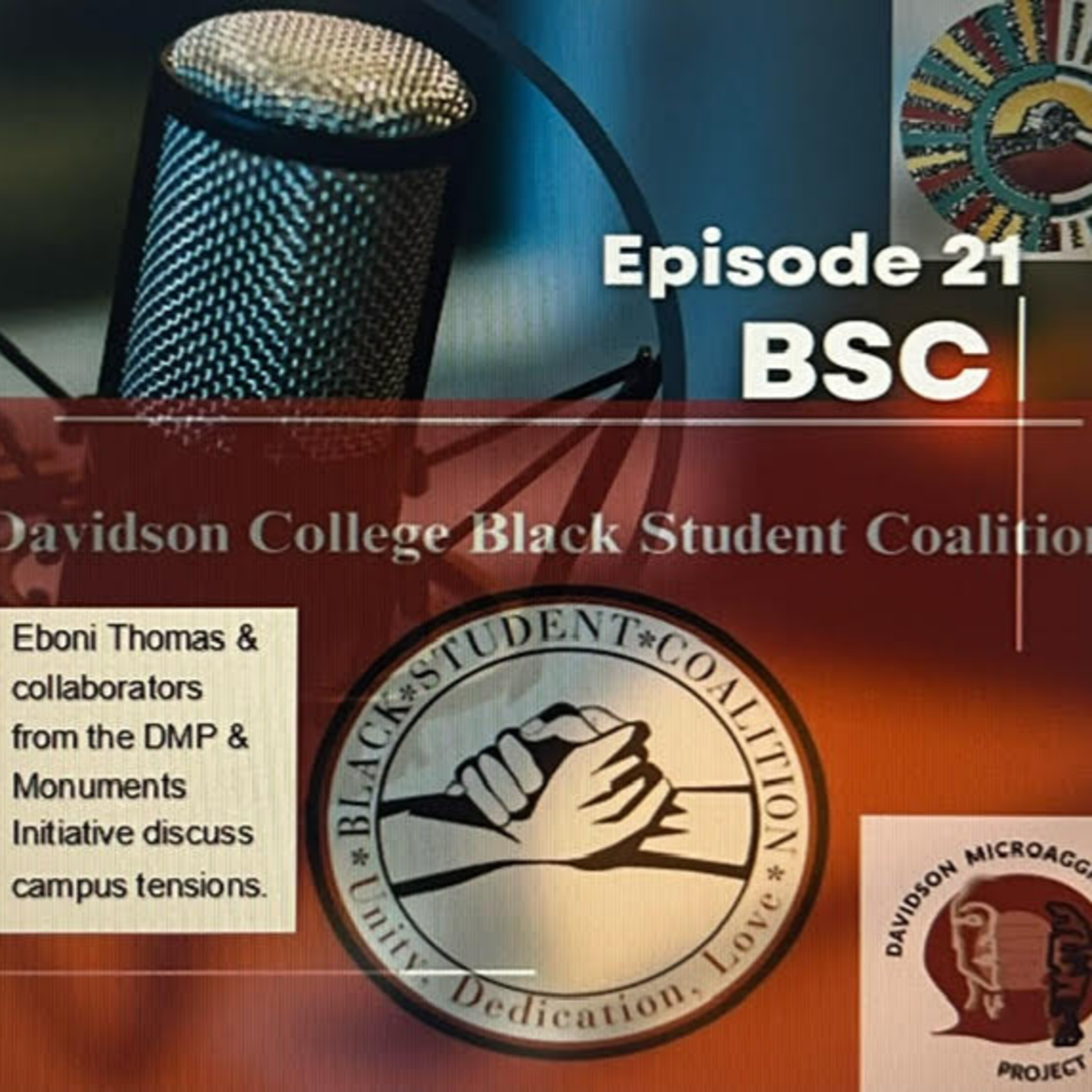 Davidson Microaggressions Project