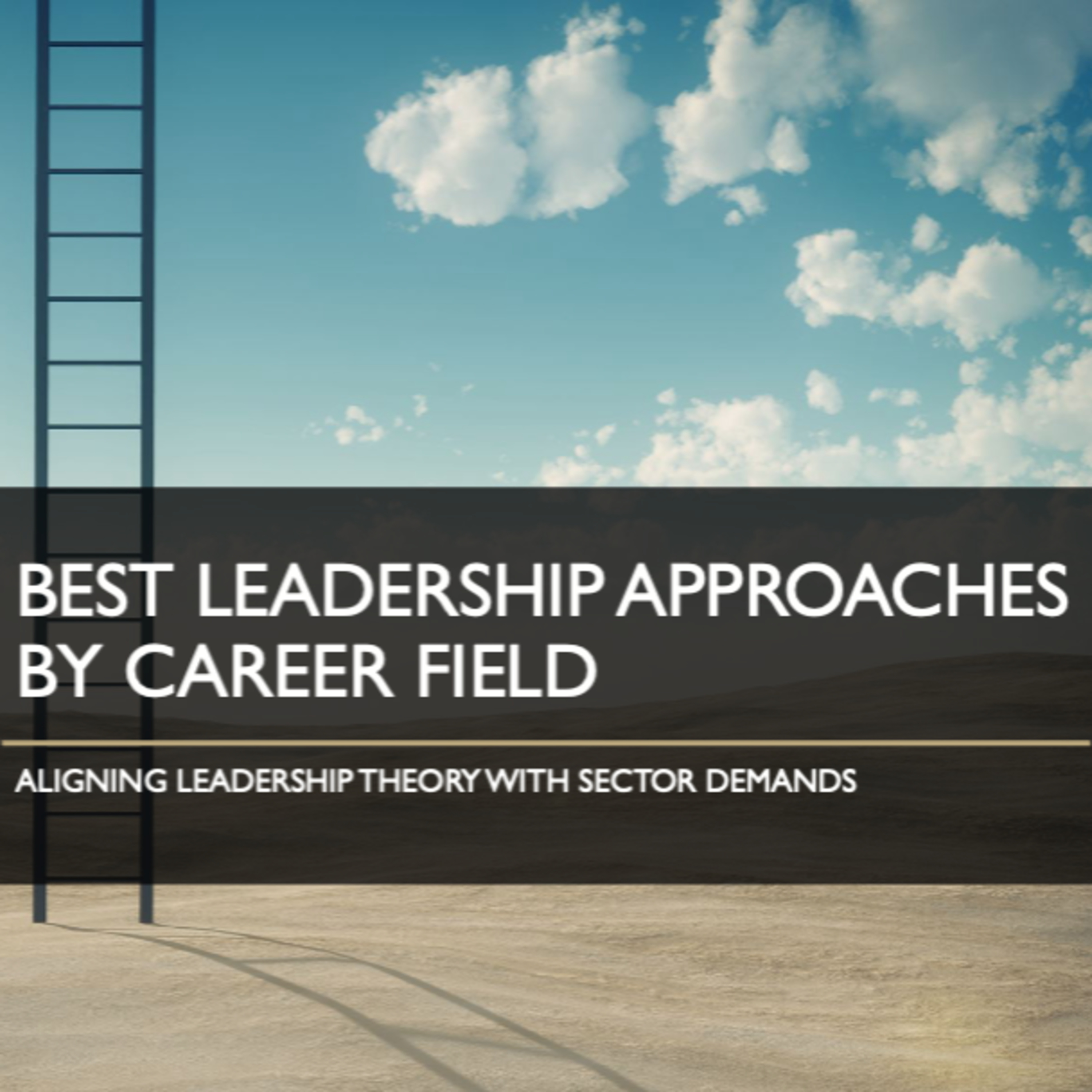 6505 - Best Leadership Practices Based On Career Field And Sector. episode artwork