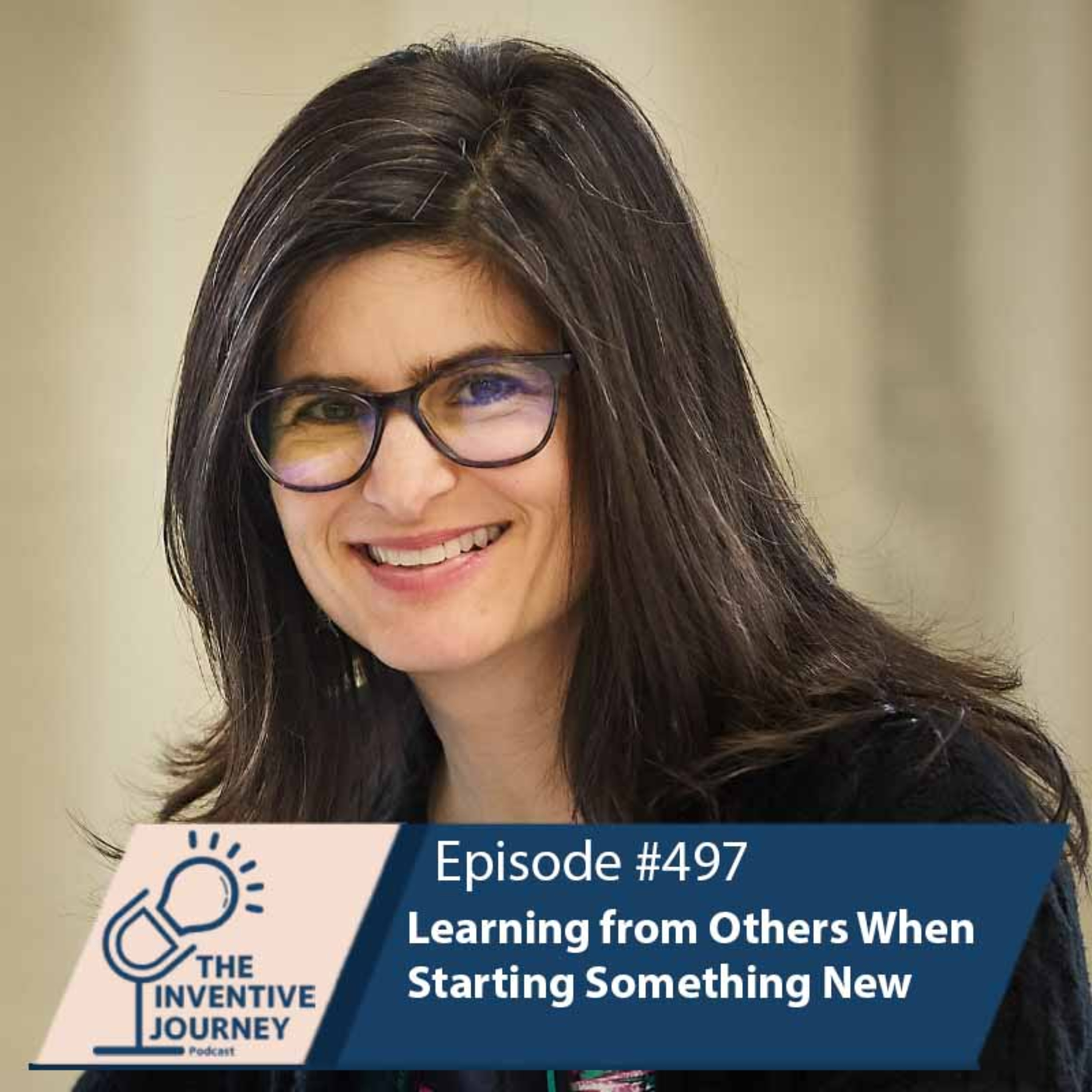 "Learning from Others When Starting Something New" The Podcast For Entrepreneurs w/ Julia Goldstein episode artwork
