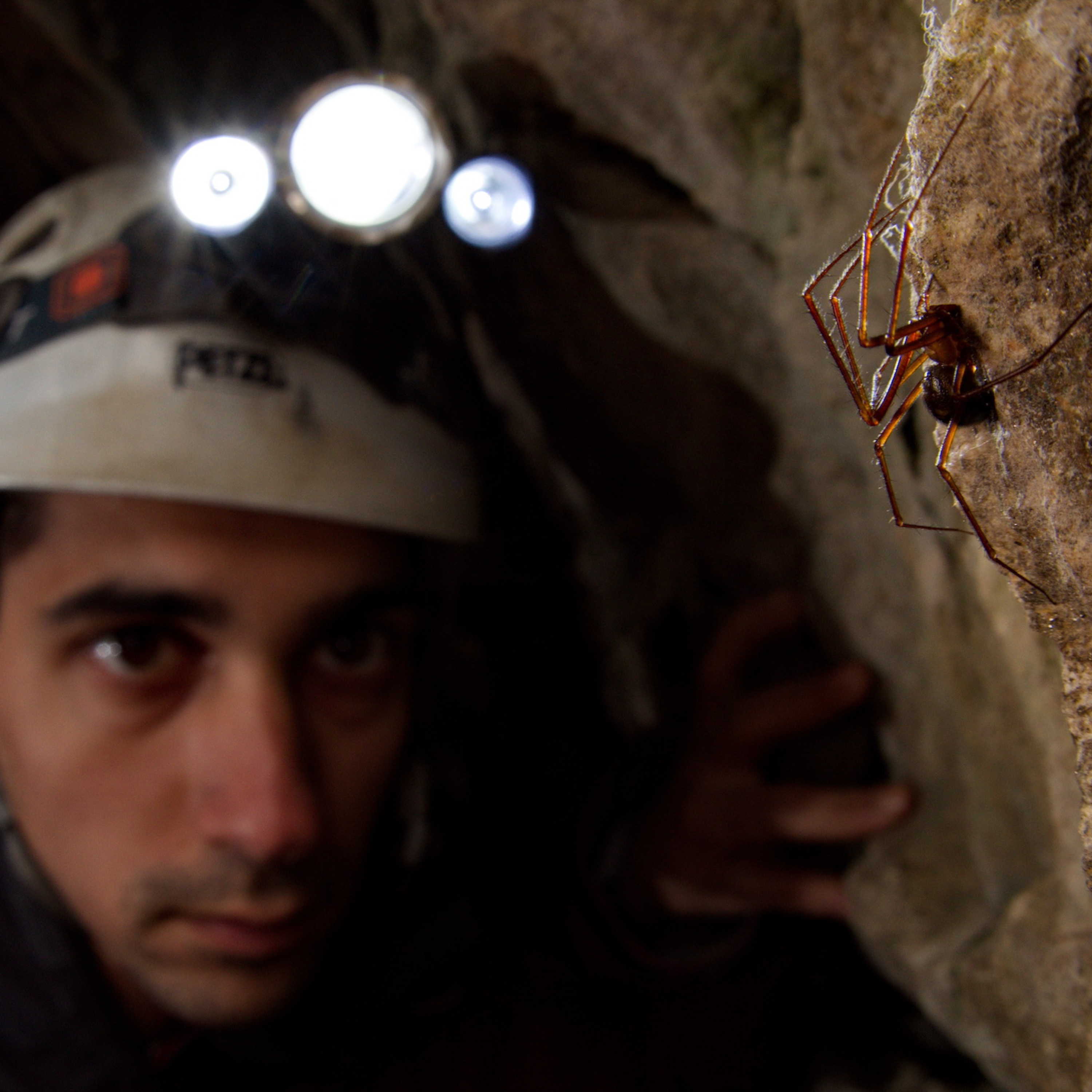 What’s in a Spider Name with Stefano Mammola