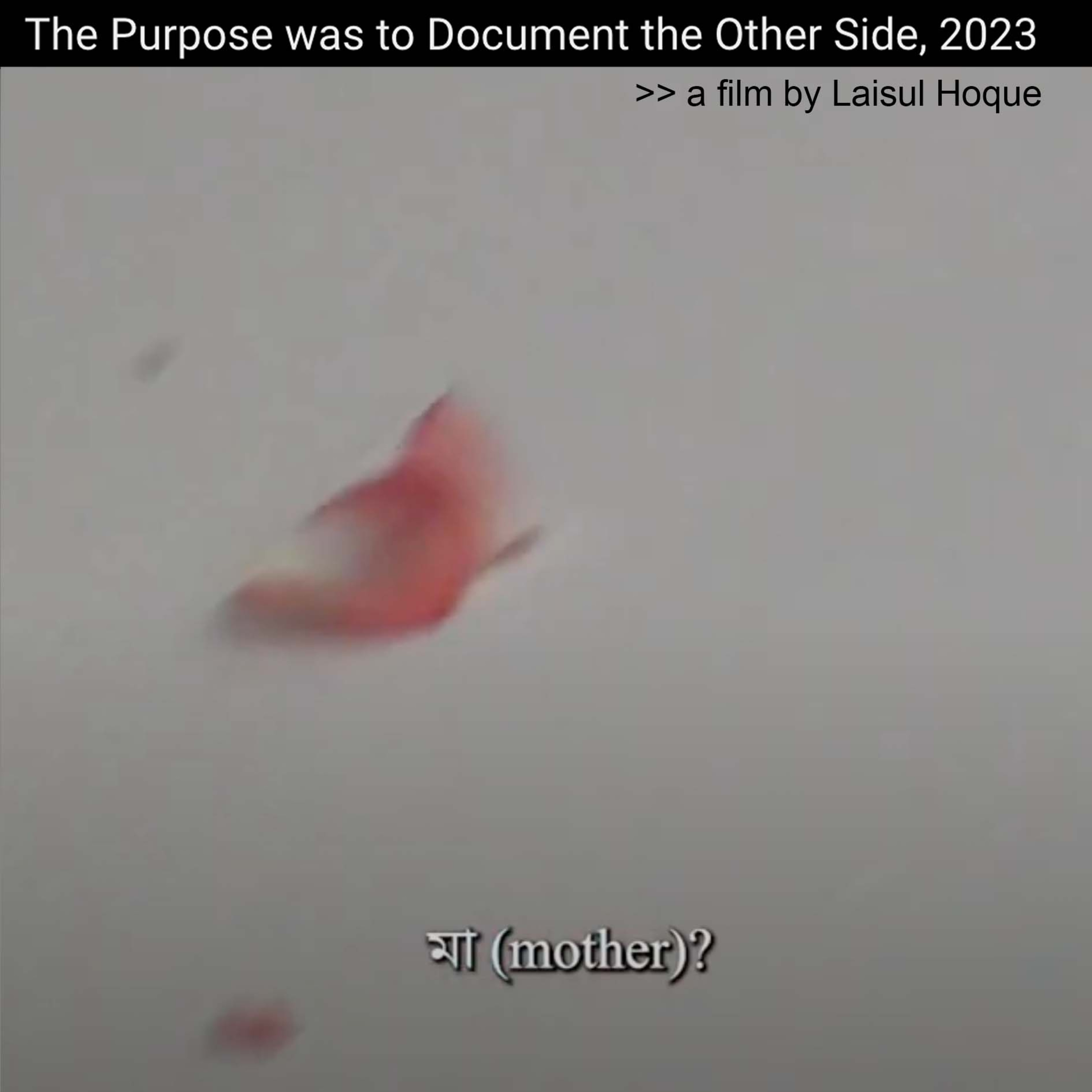 Laisul Hoque, The Purpose was to Document the Other Side (2023)