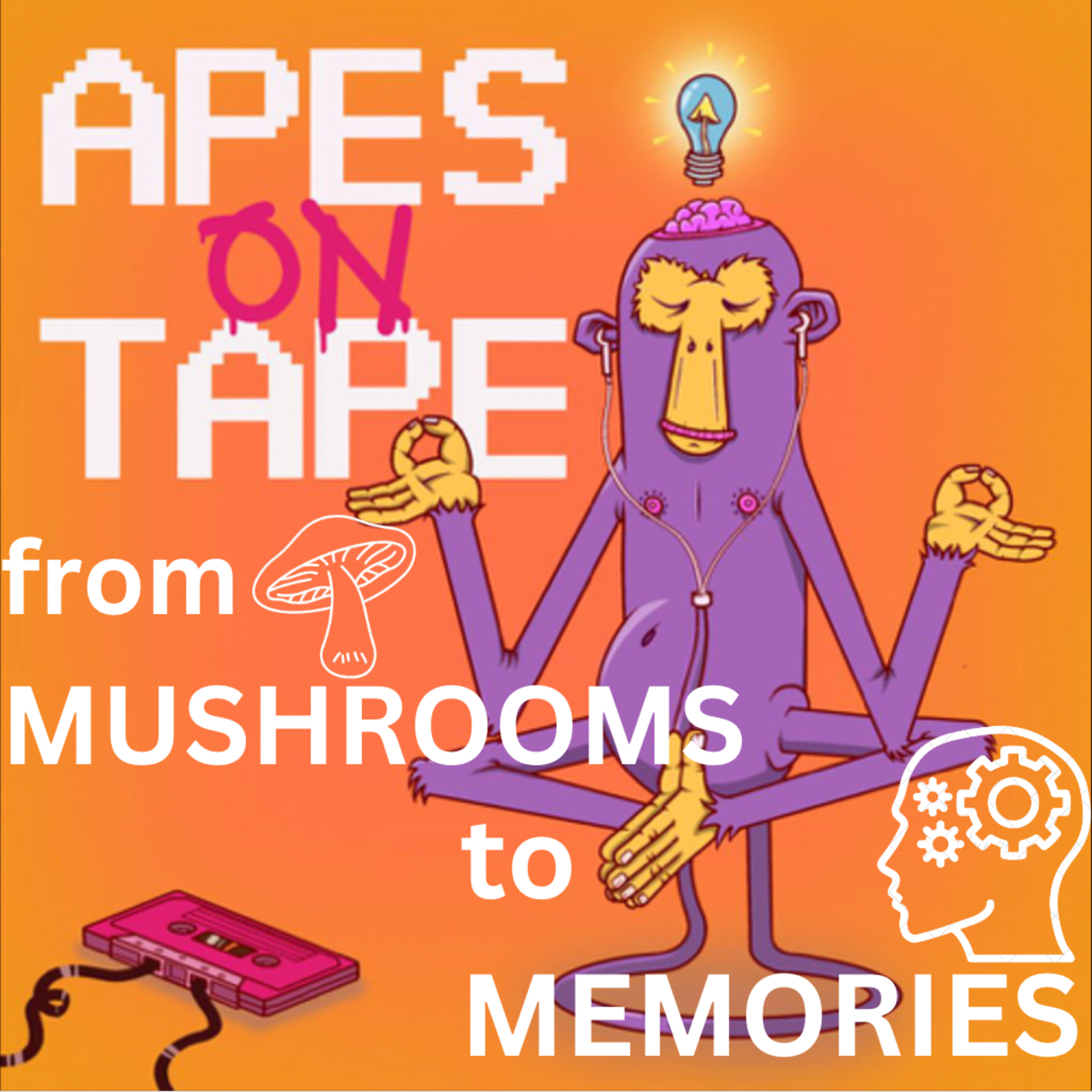 Apes on Tape