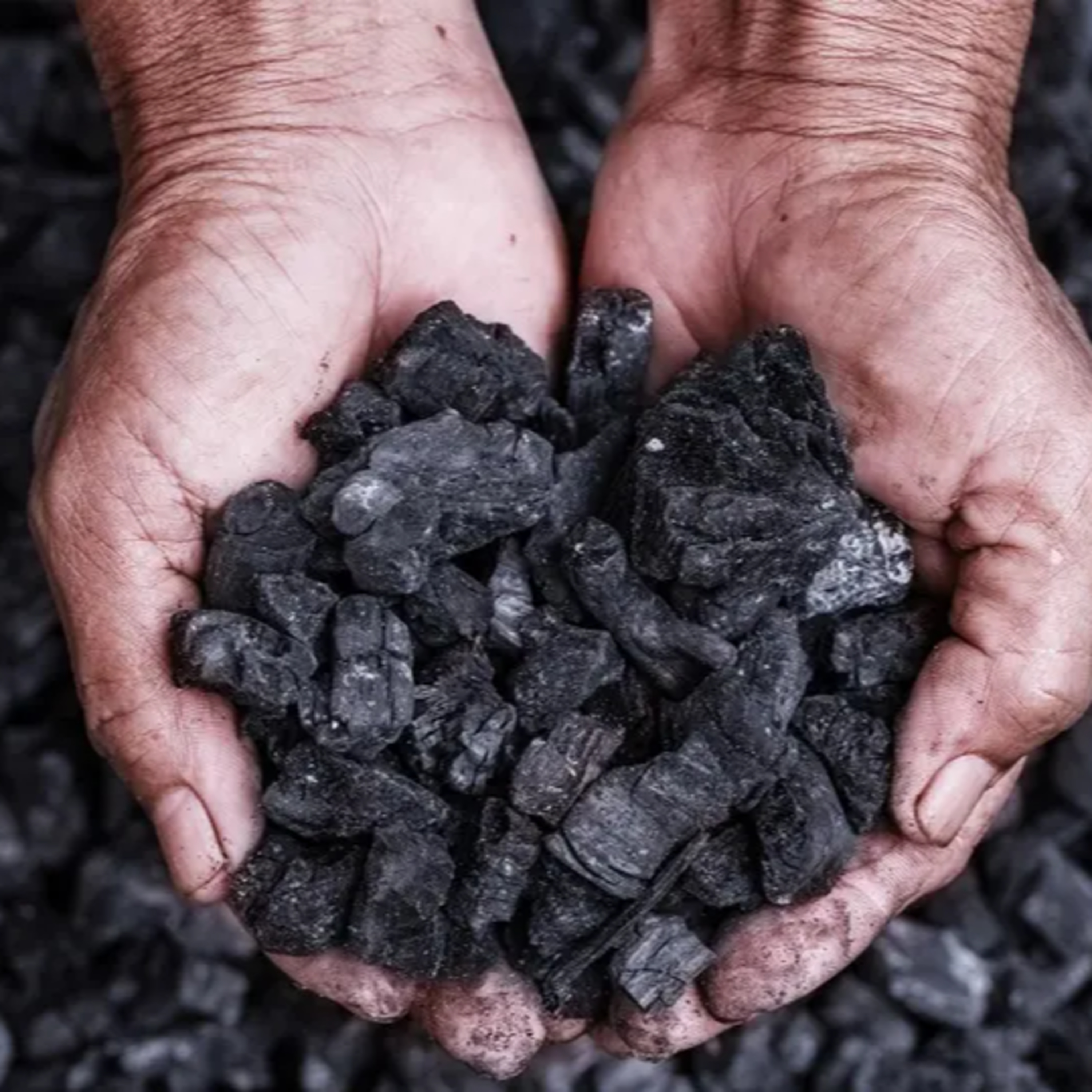Winter Speaker Series - Carbondale's Miners episode artwork