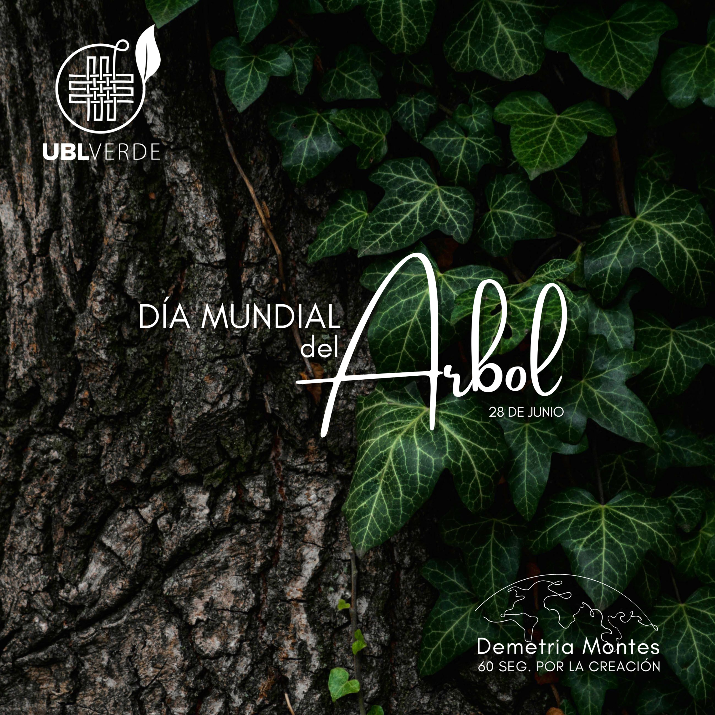 🌲🌳🌴 Día mundial del Árbol ⏰ 60 segundos por la Creación por Demetria Montes episode artwork