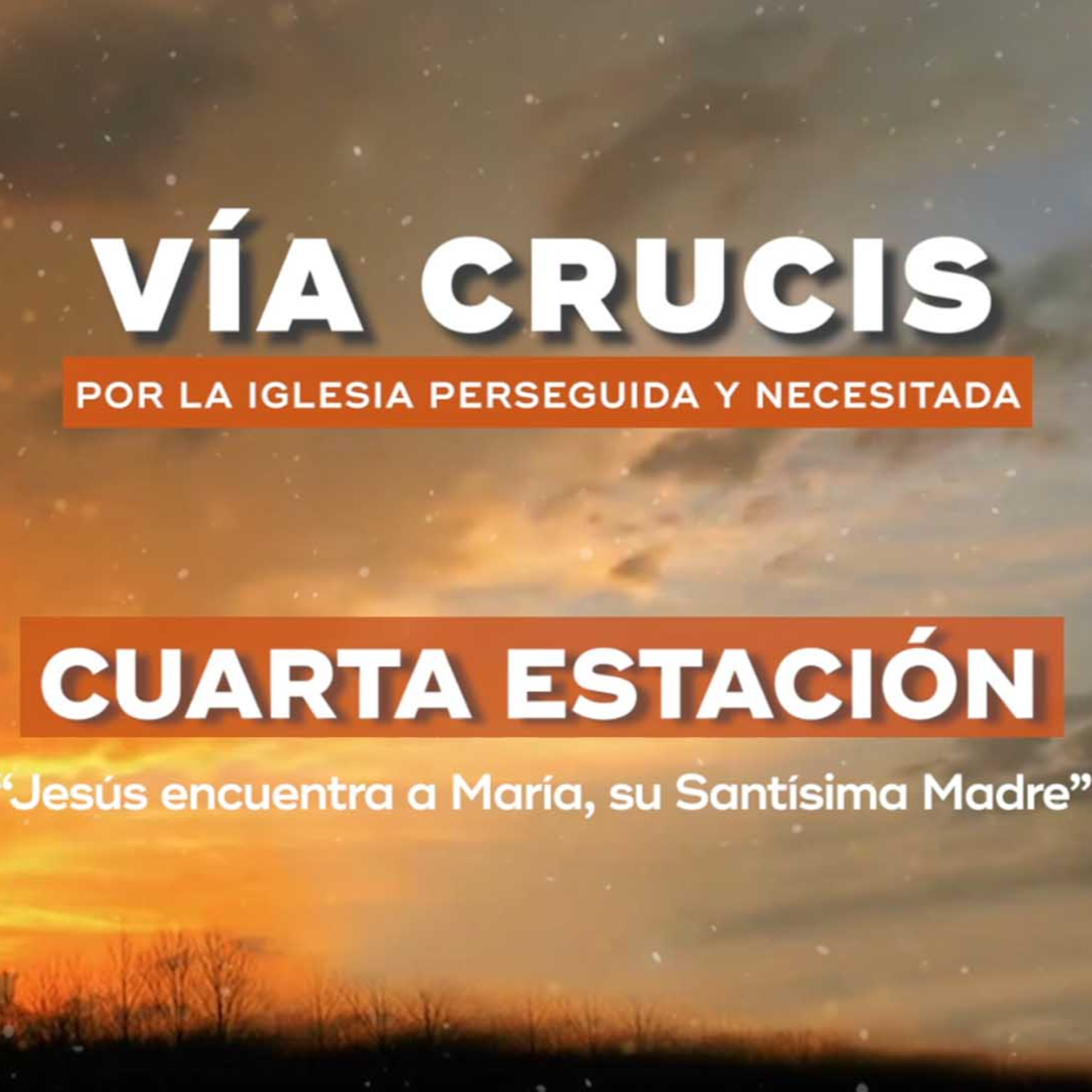 Cuarta Estación: "Jesús encuentra a María, su santísima Madre" episode artwork