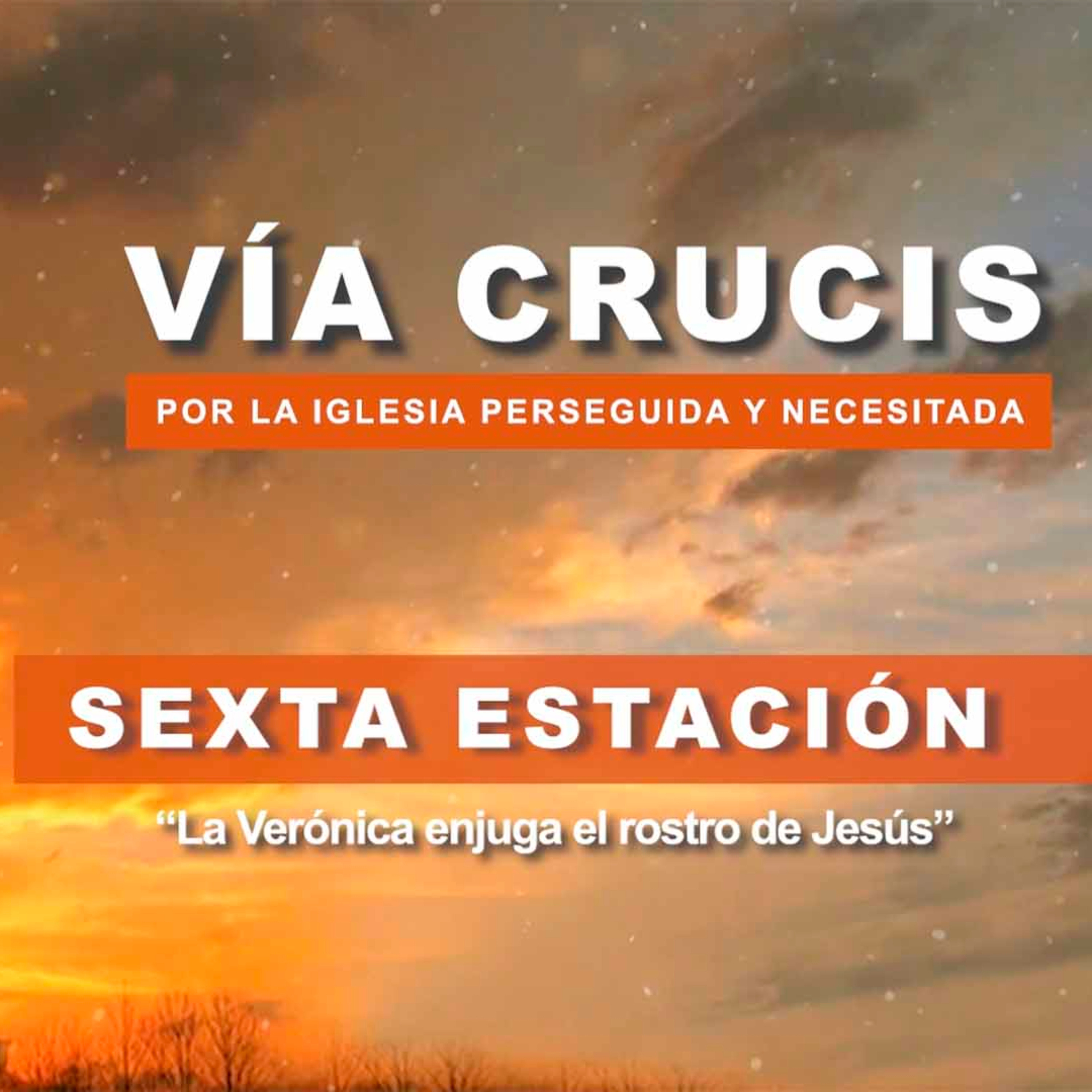 Sexta Estación: “La Verónica enjuga el rostro de Jesús”  episode artwork
