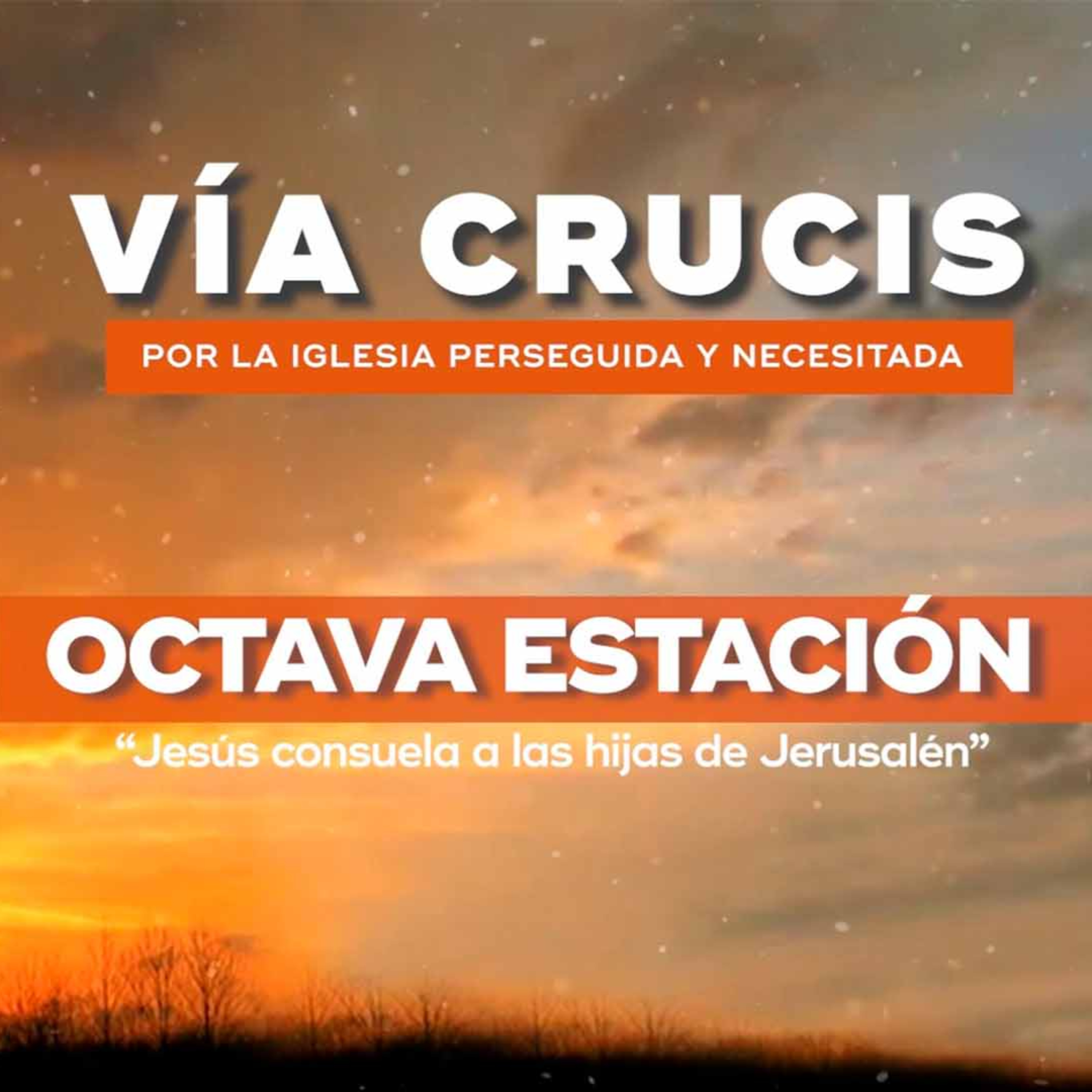 Octava Estación: “Jesús consuela a las hijas de Jerusalén” episode artwork