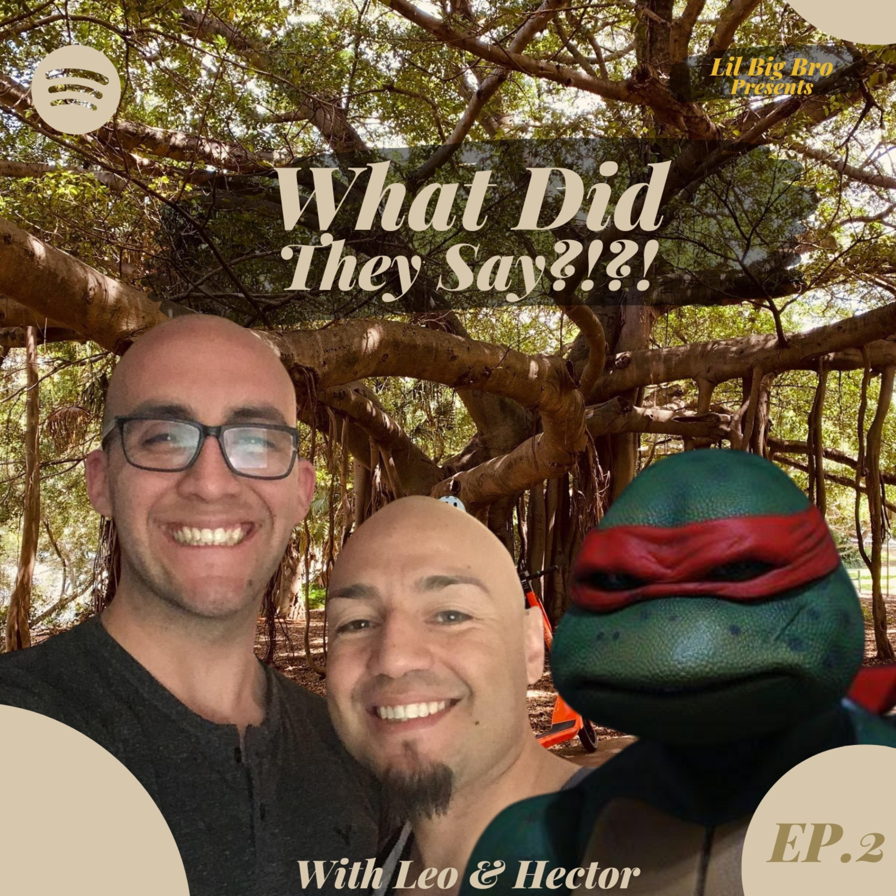 What Did They Say?! Episode 2 episode artwork