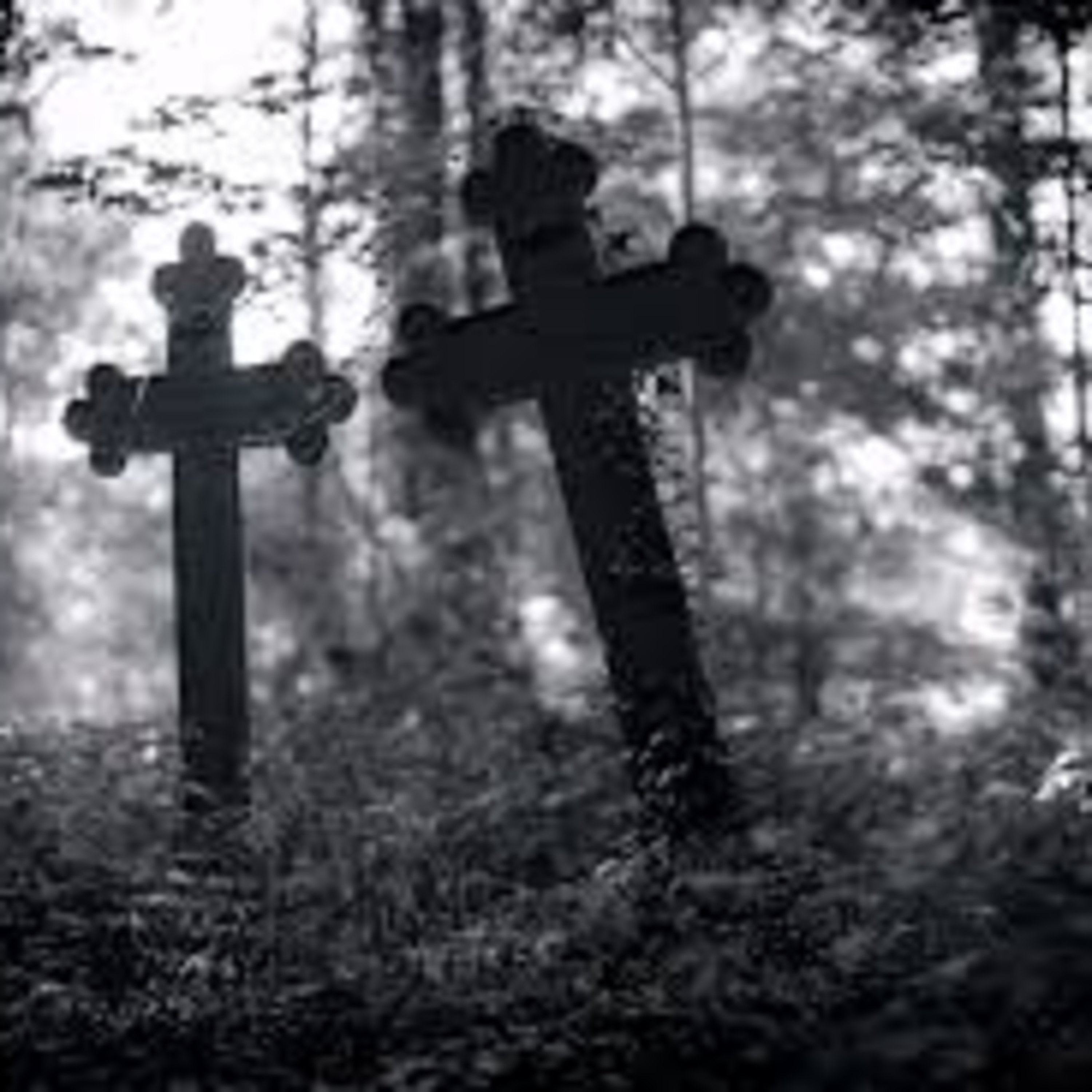 America’s Most Gothic: When History Becomes the Haunting