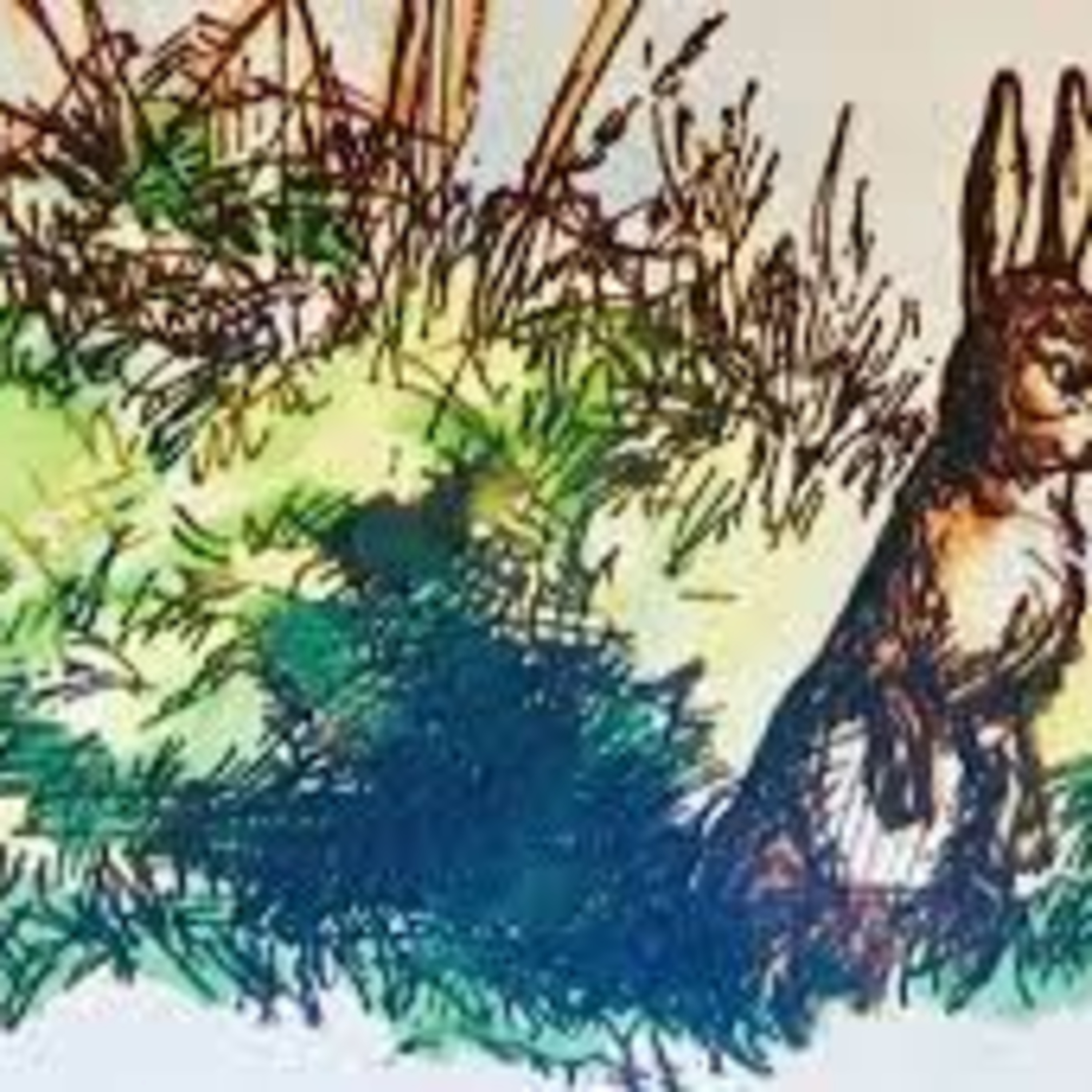 Rabbit's Busy Day