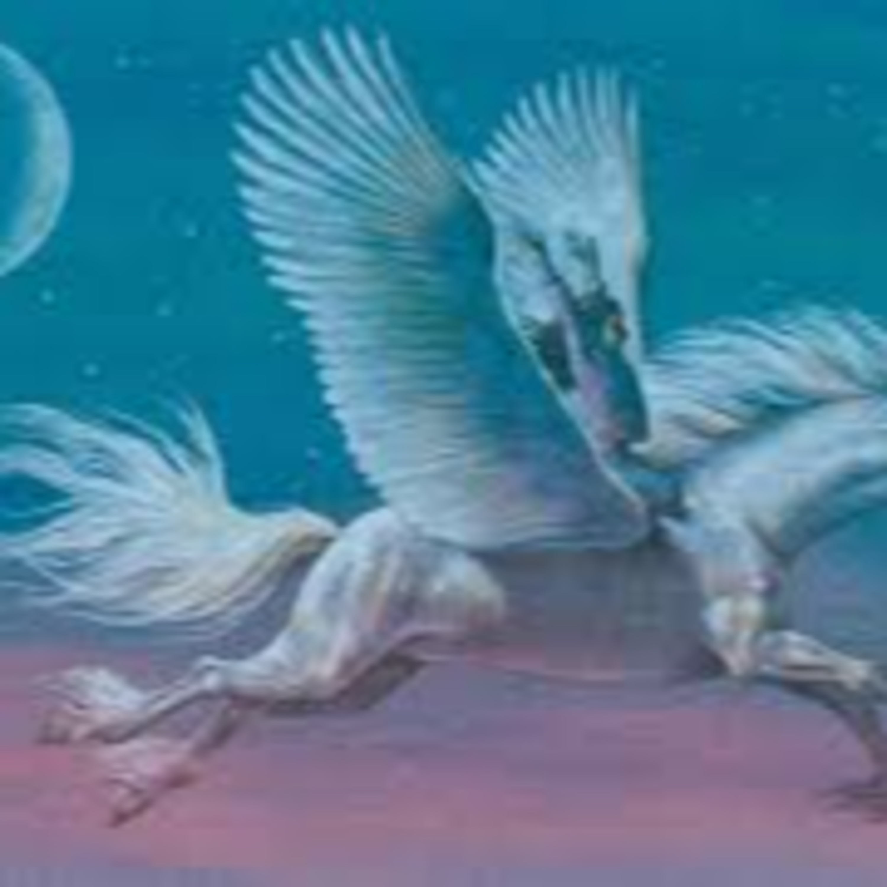 Thunder Horse