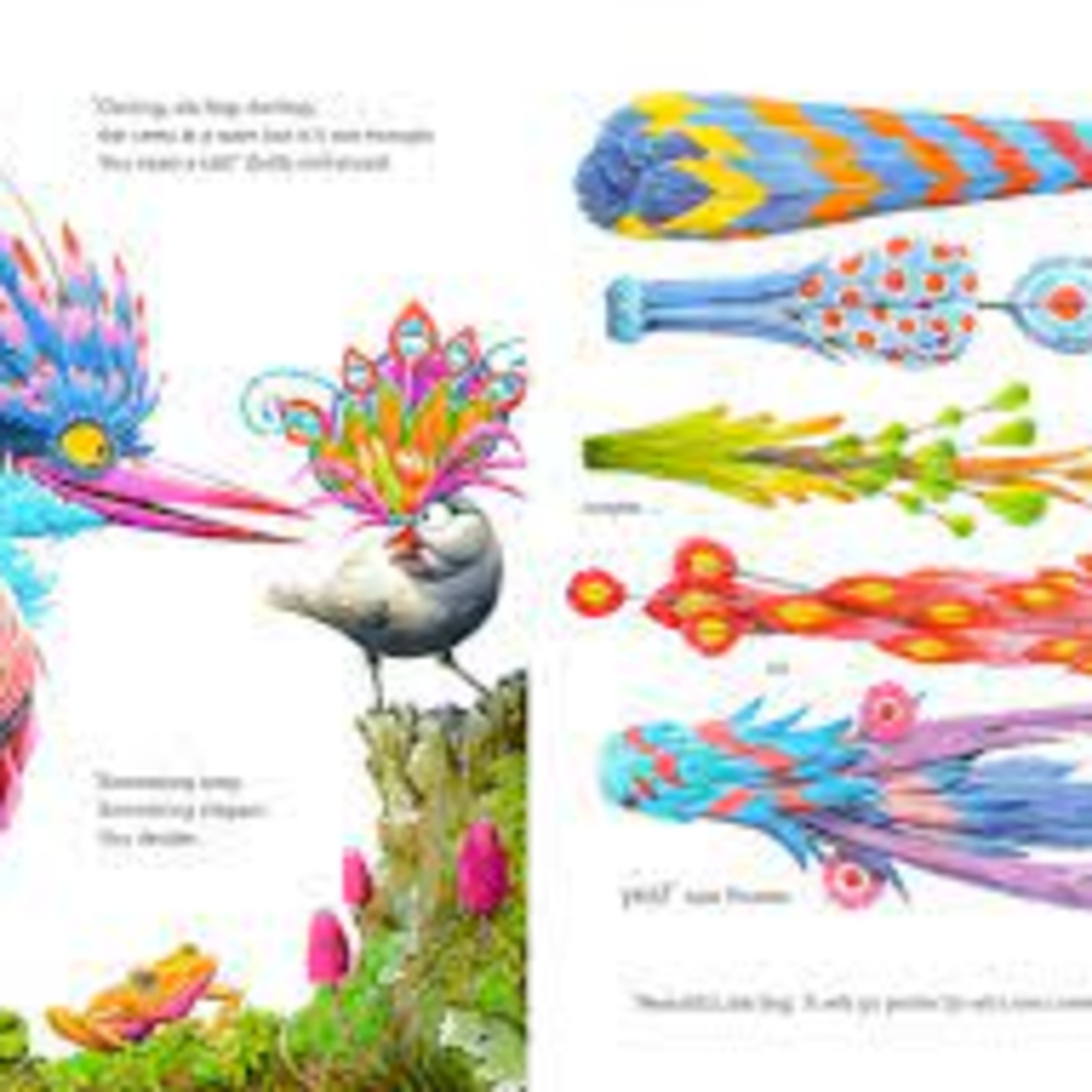 Feathers for Phoebe