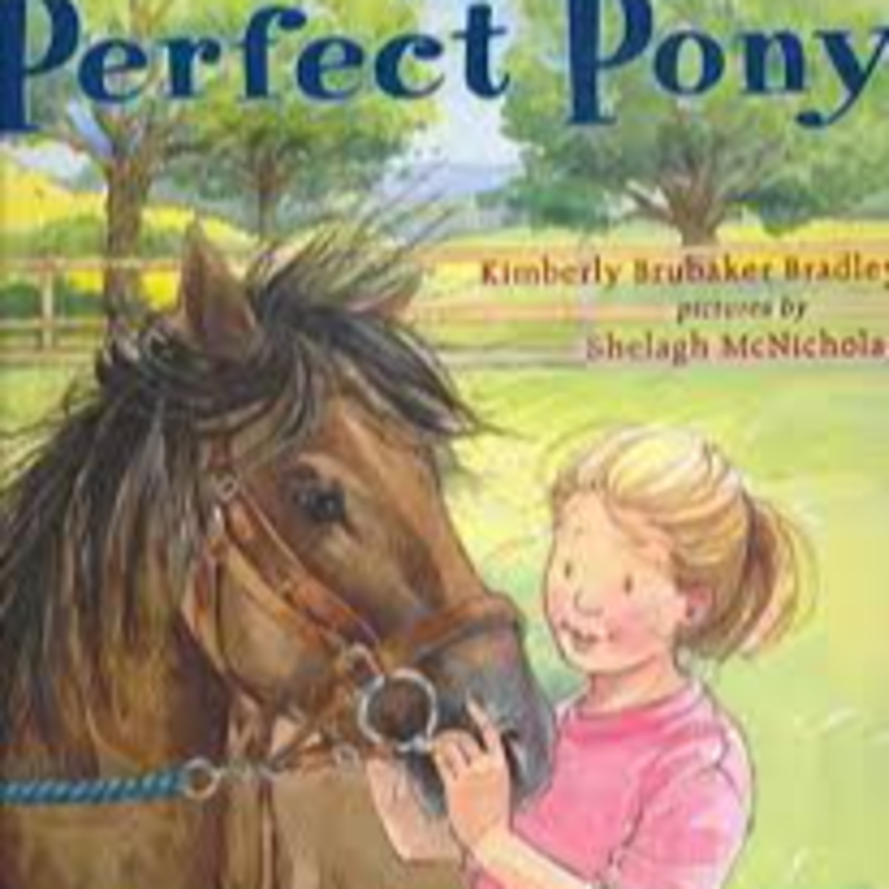 The Perfect Pony