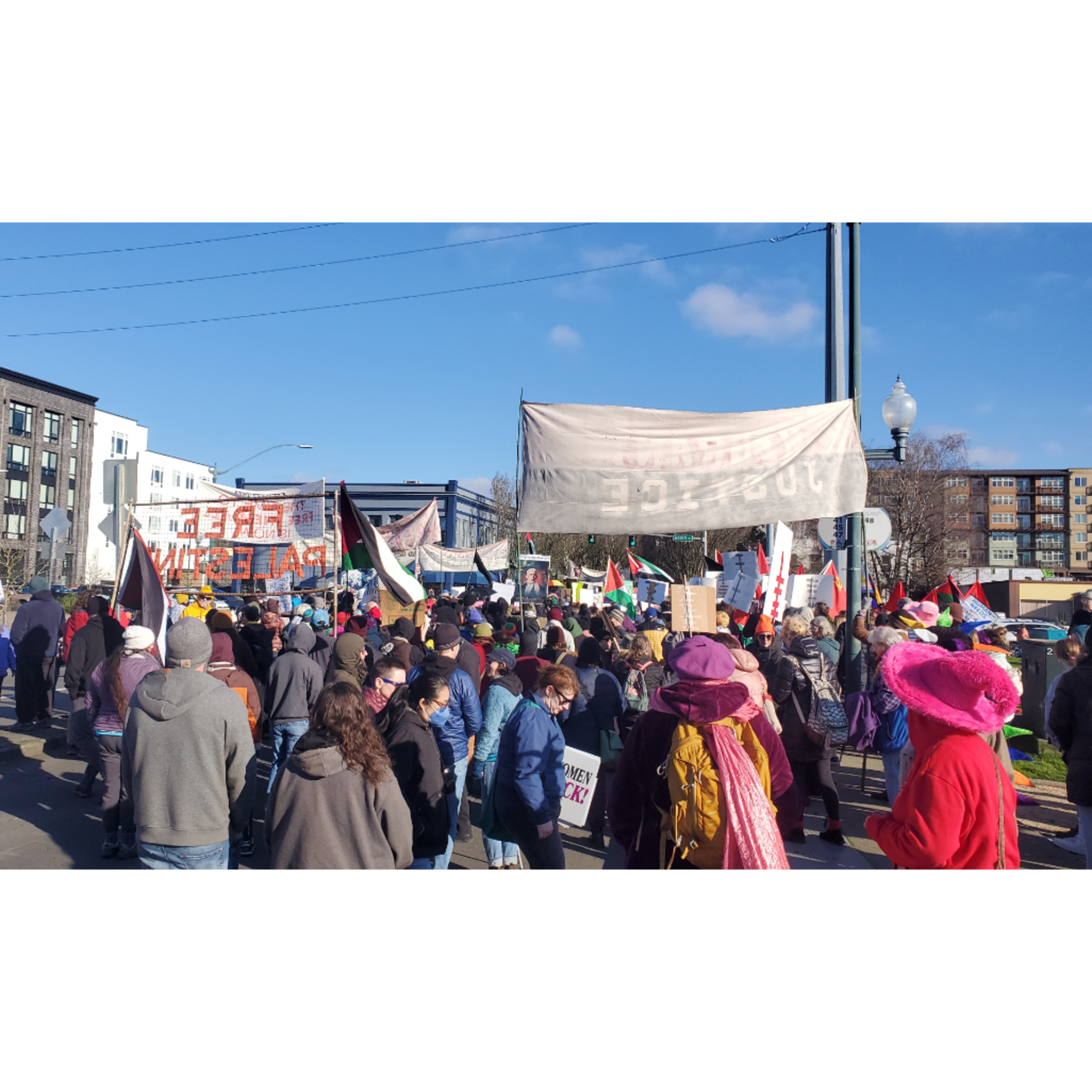 People's March & ANTIFA Damages Businesses, Olympia, WA 1/18/25