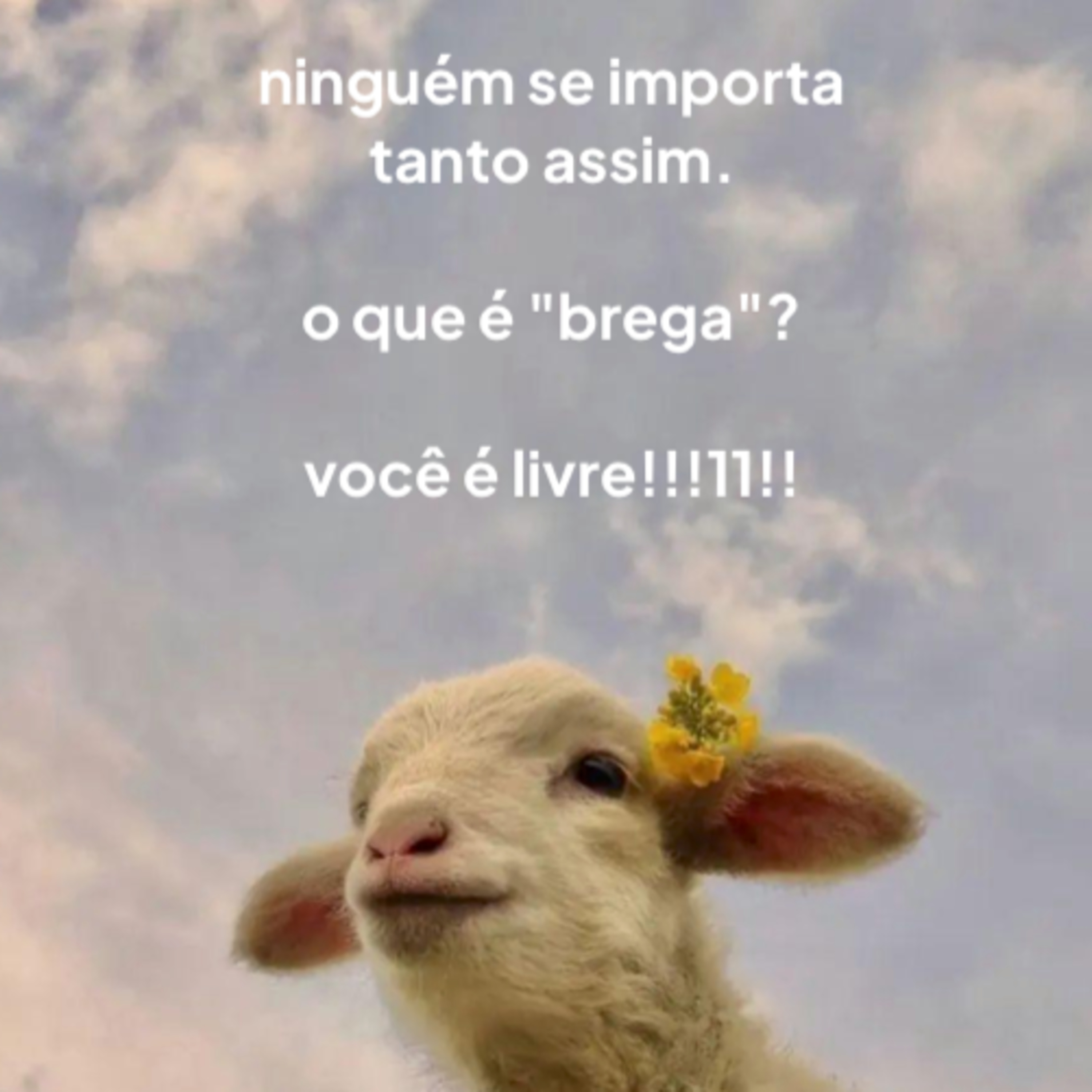 e se eu for brega?  episode artwork