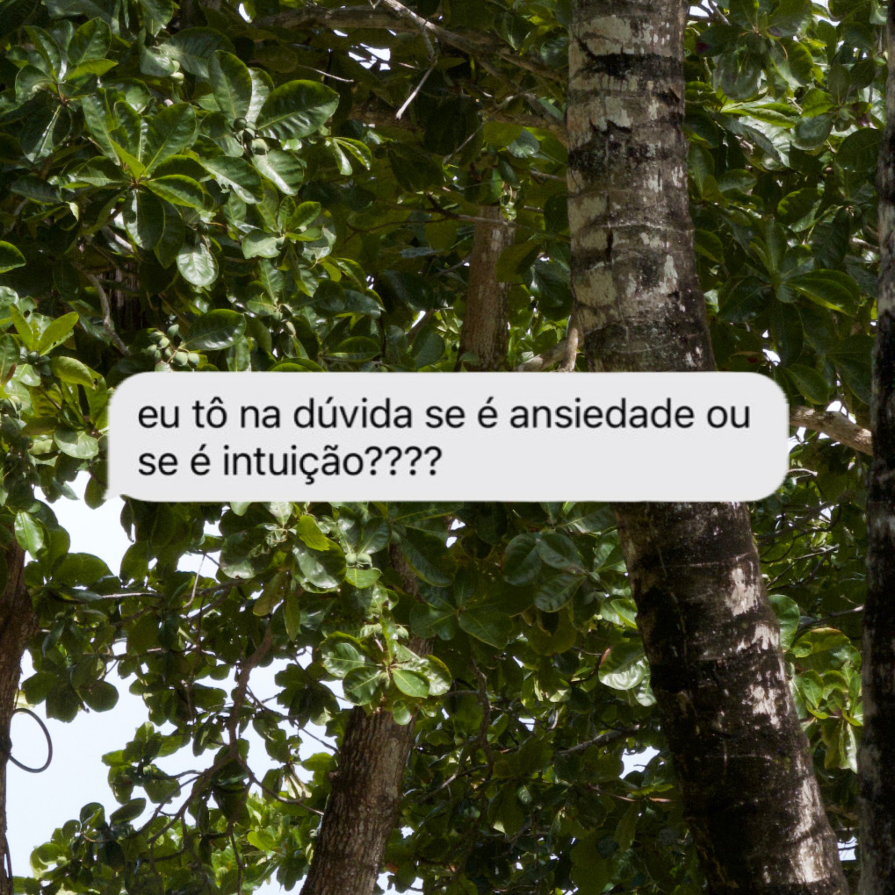 intuição ou ansiedade?  episode artwork