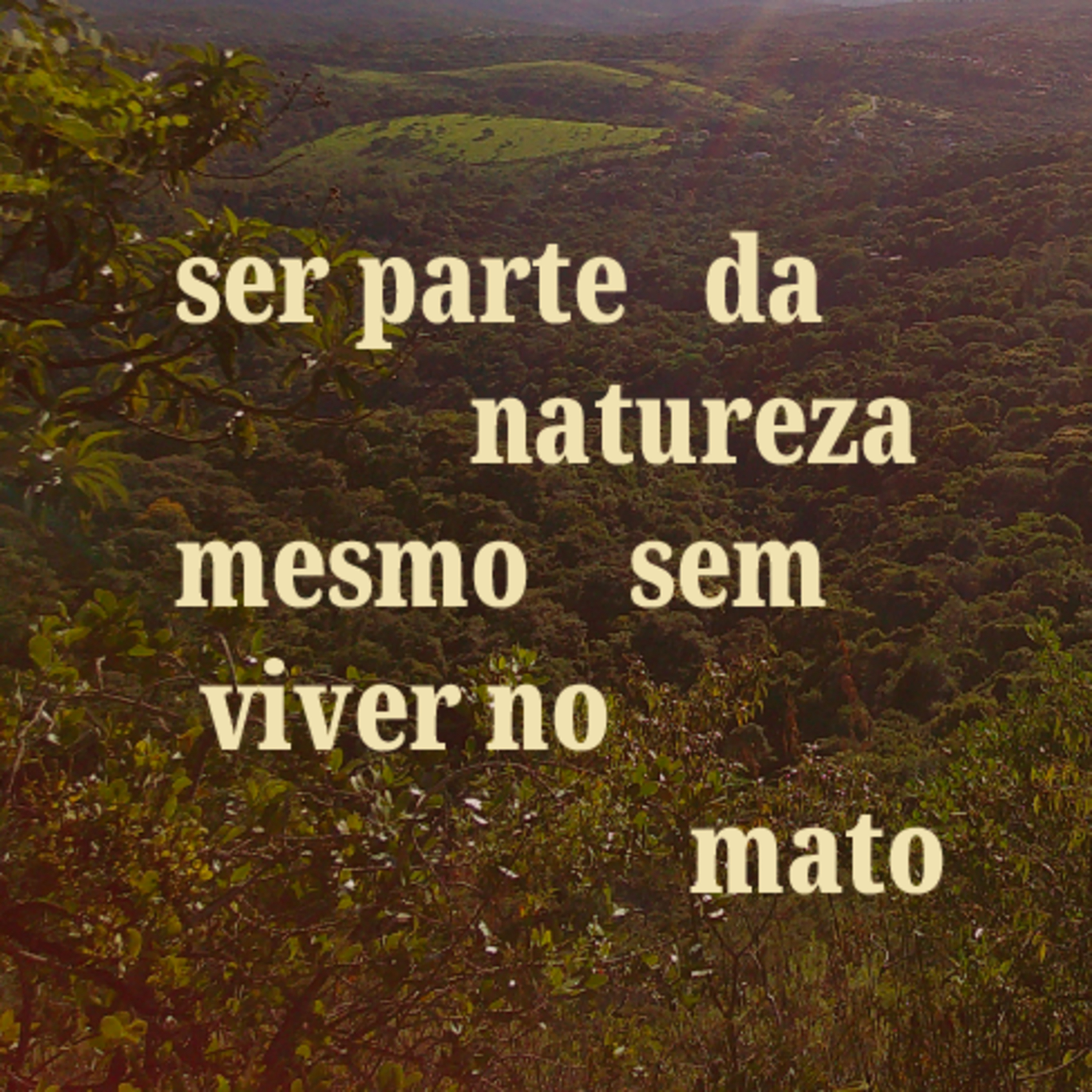 você é a natureza  episode artwork