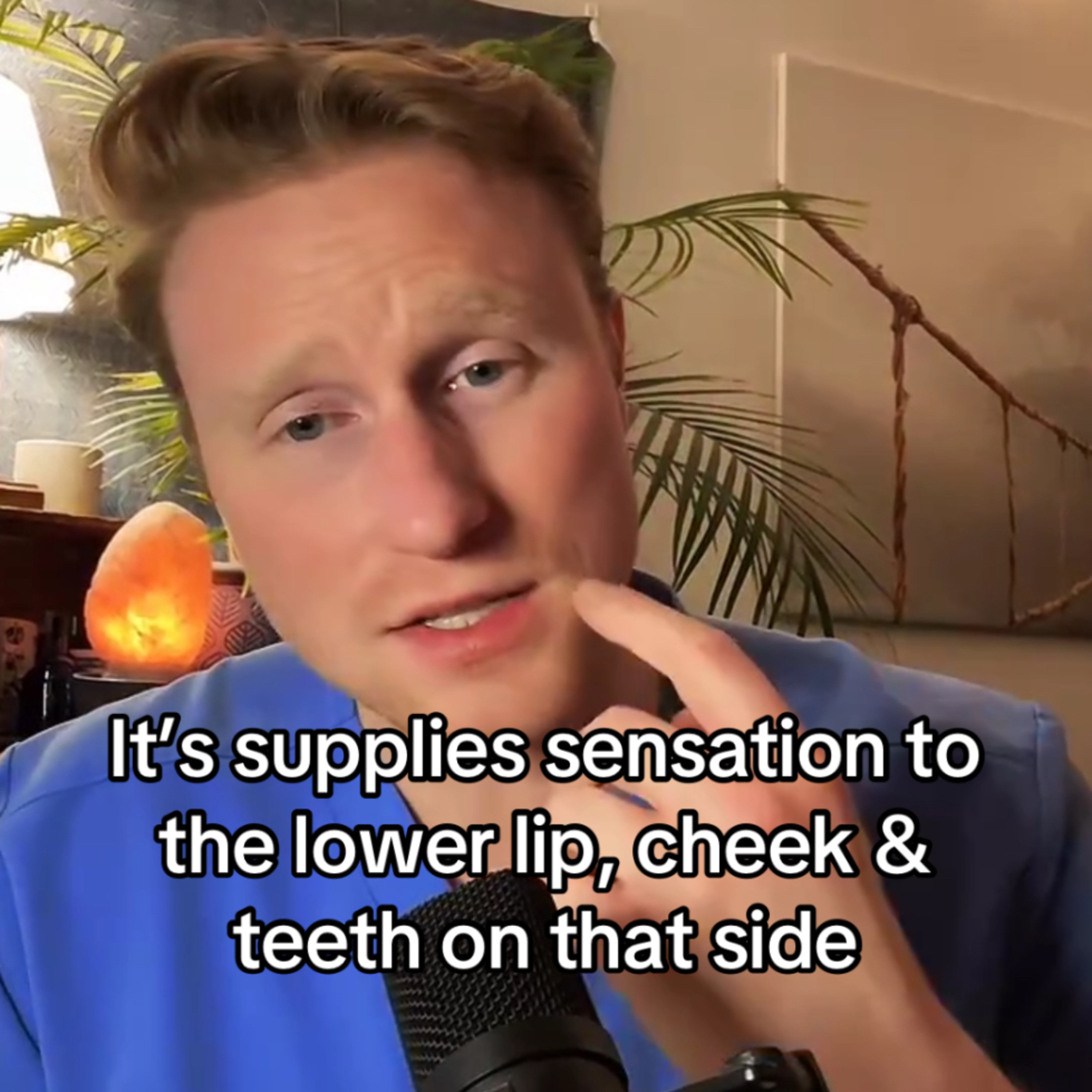 🎙️ The “Inferior Alveolar Nerve” - from TikTok LIVE 50