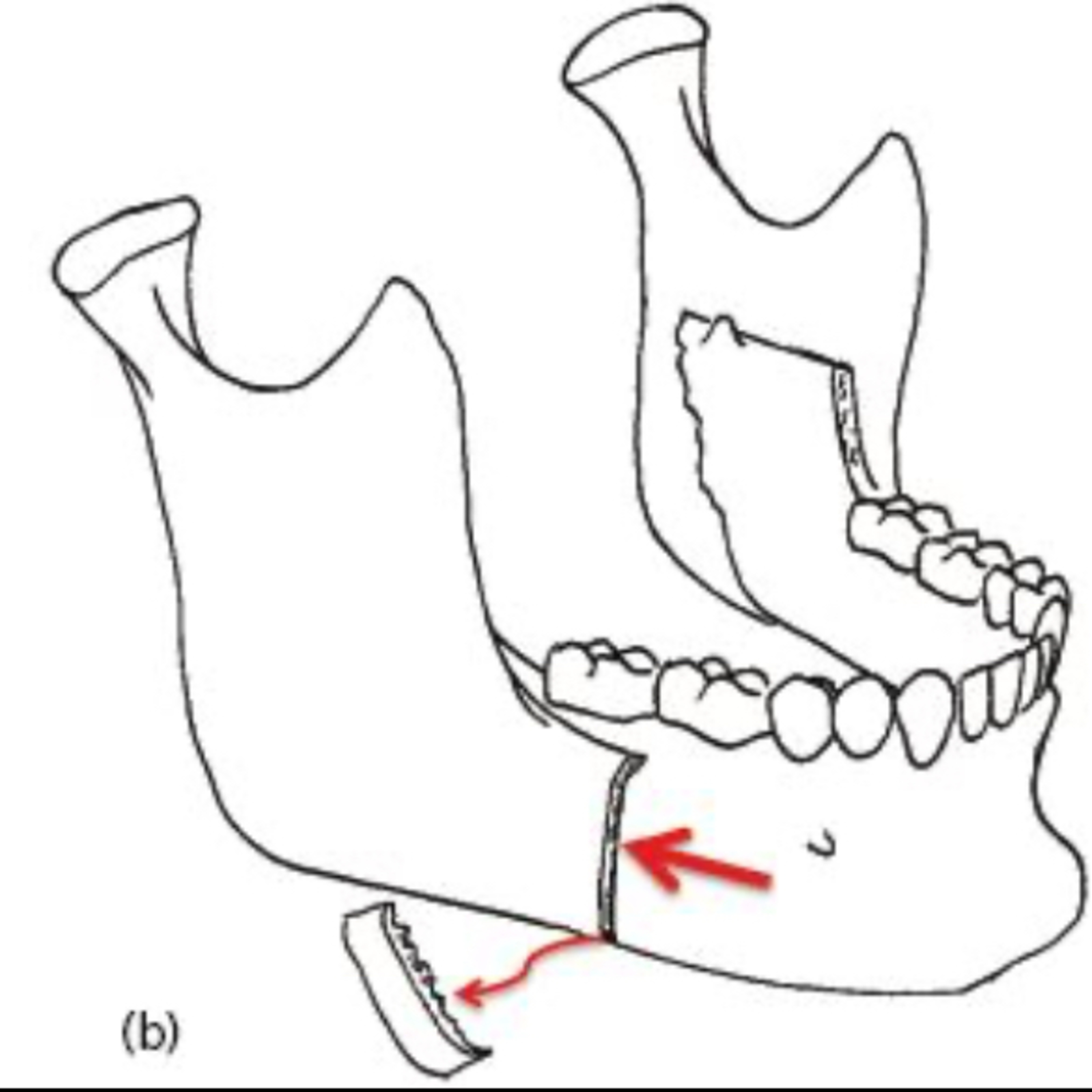 Dr. Gallagher\'s Podcast