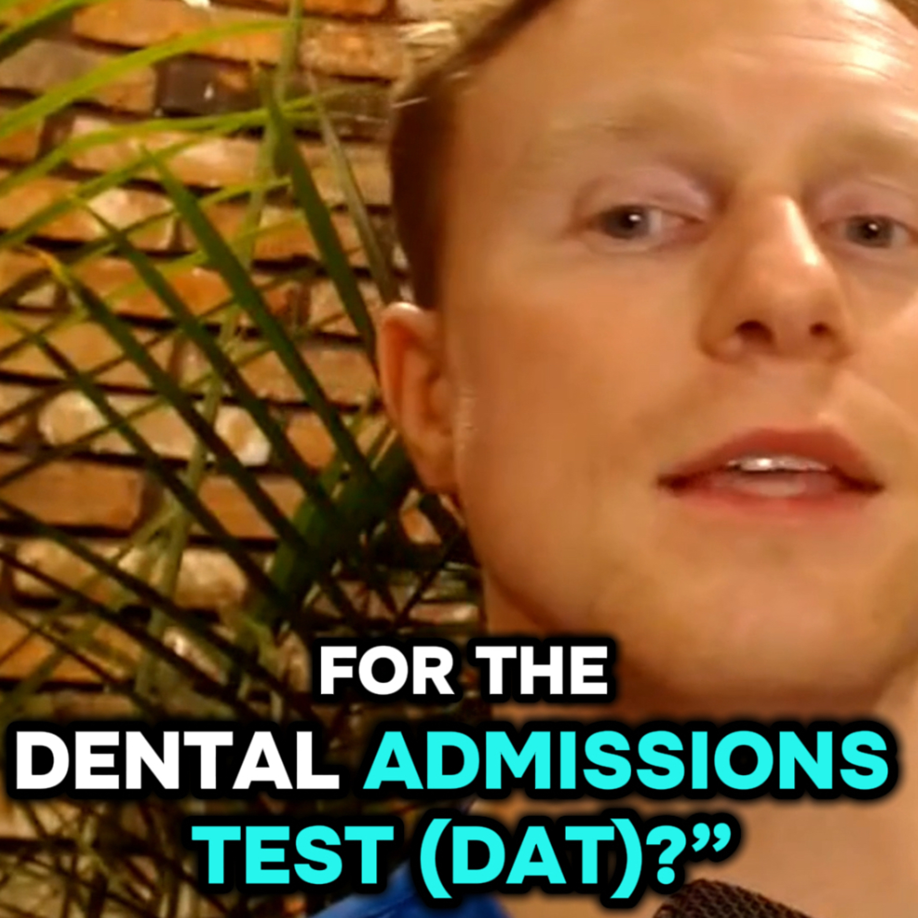 My Best DAT Study Tips: