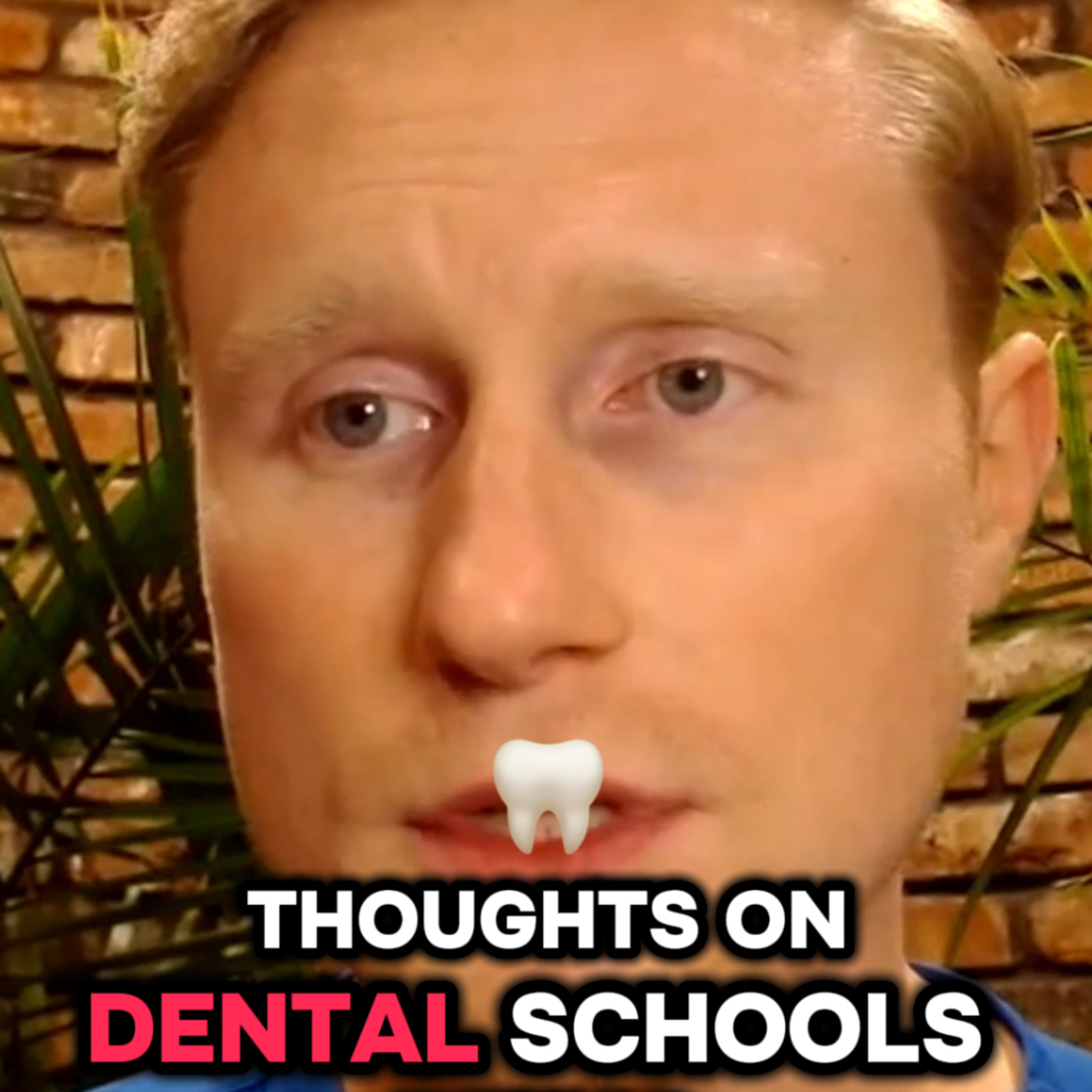 My Thoughts On Pass / Fail & Non-Ranked Dental Schools