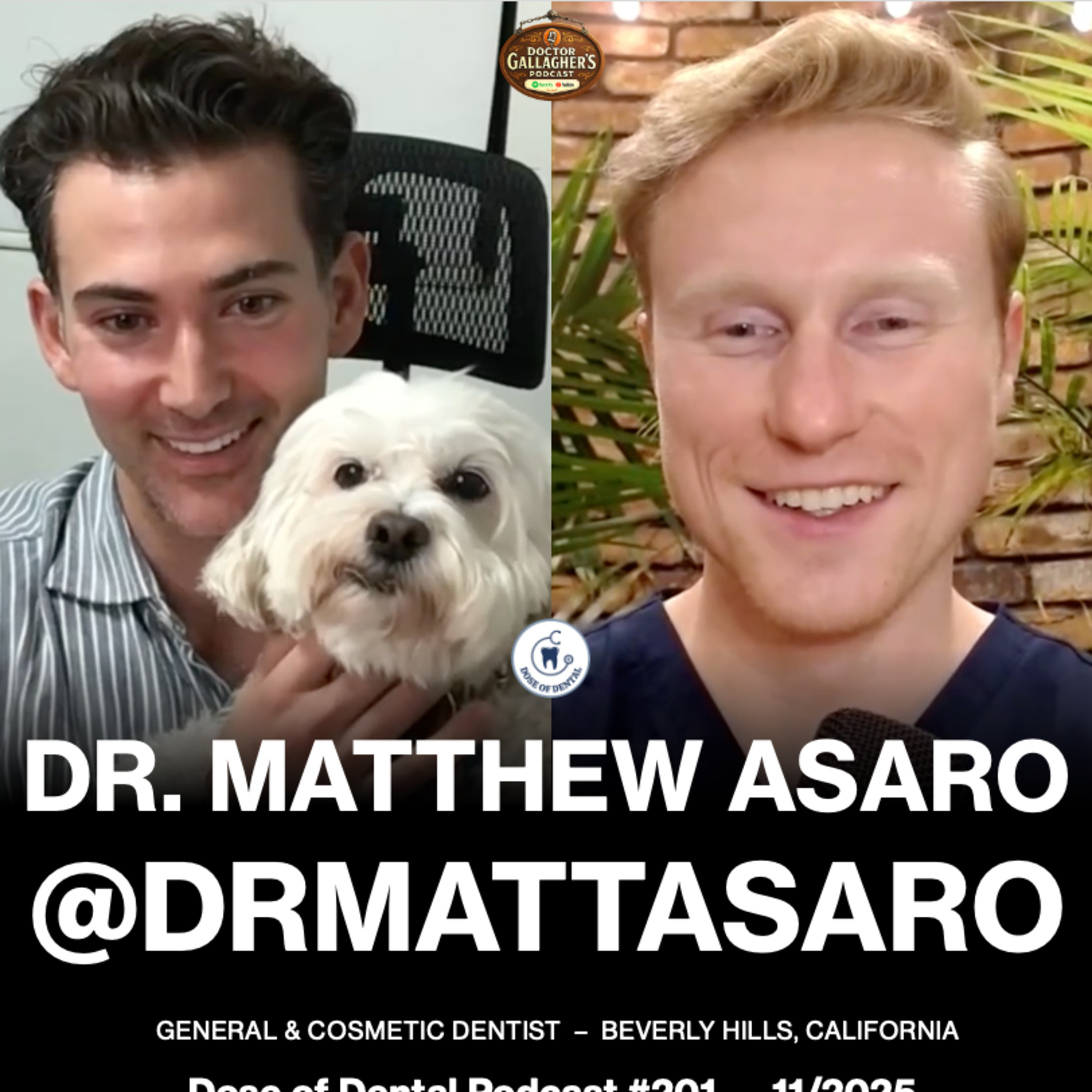 Dr. Gallagher\'s Podcast