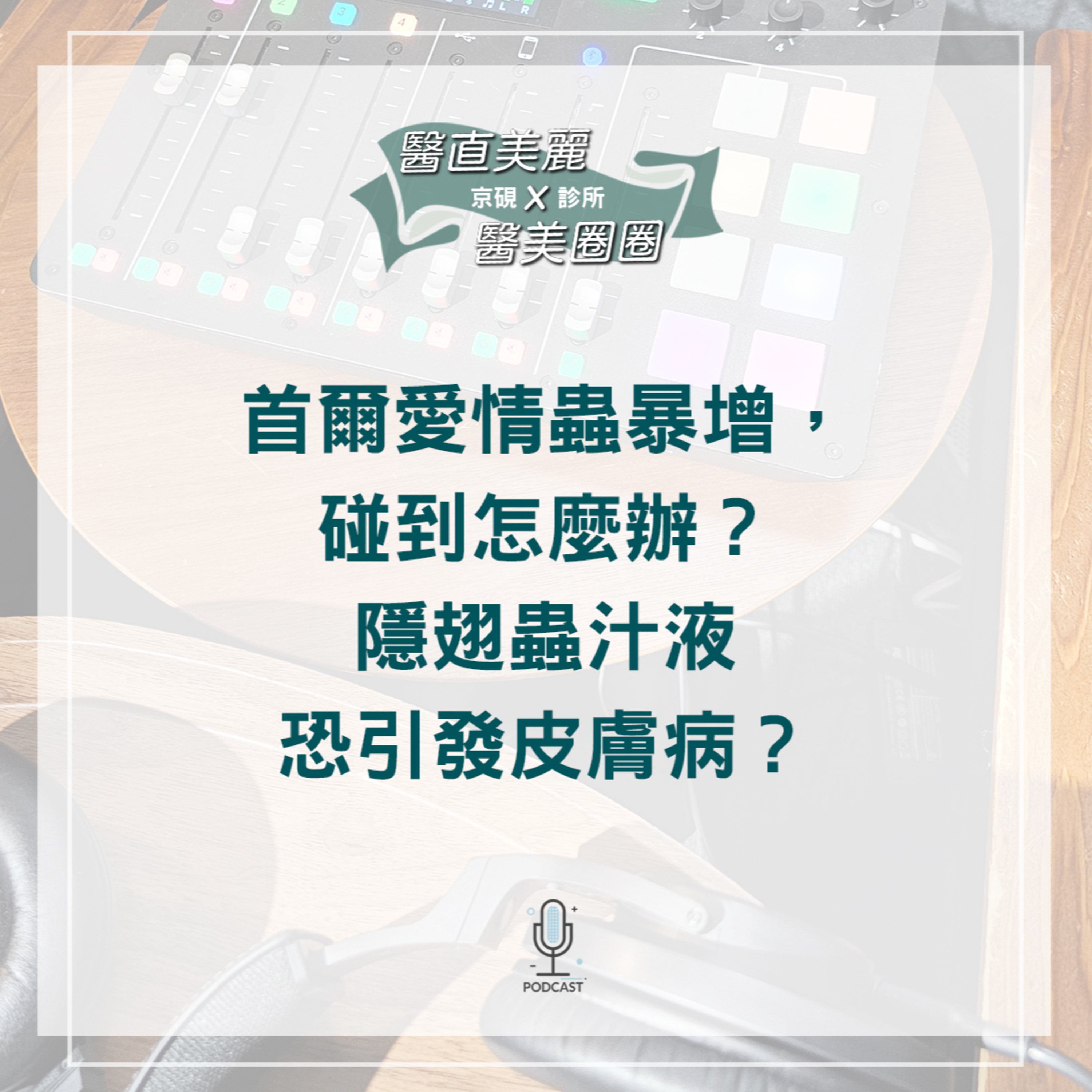 【S2 EP.074】首爾愛情蟲暴增,碰到怎麼辦? 隱翅蟲汁液恐引發皮膚病?