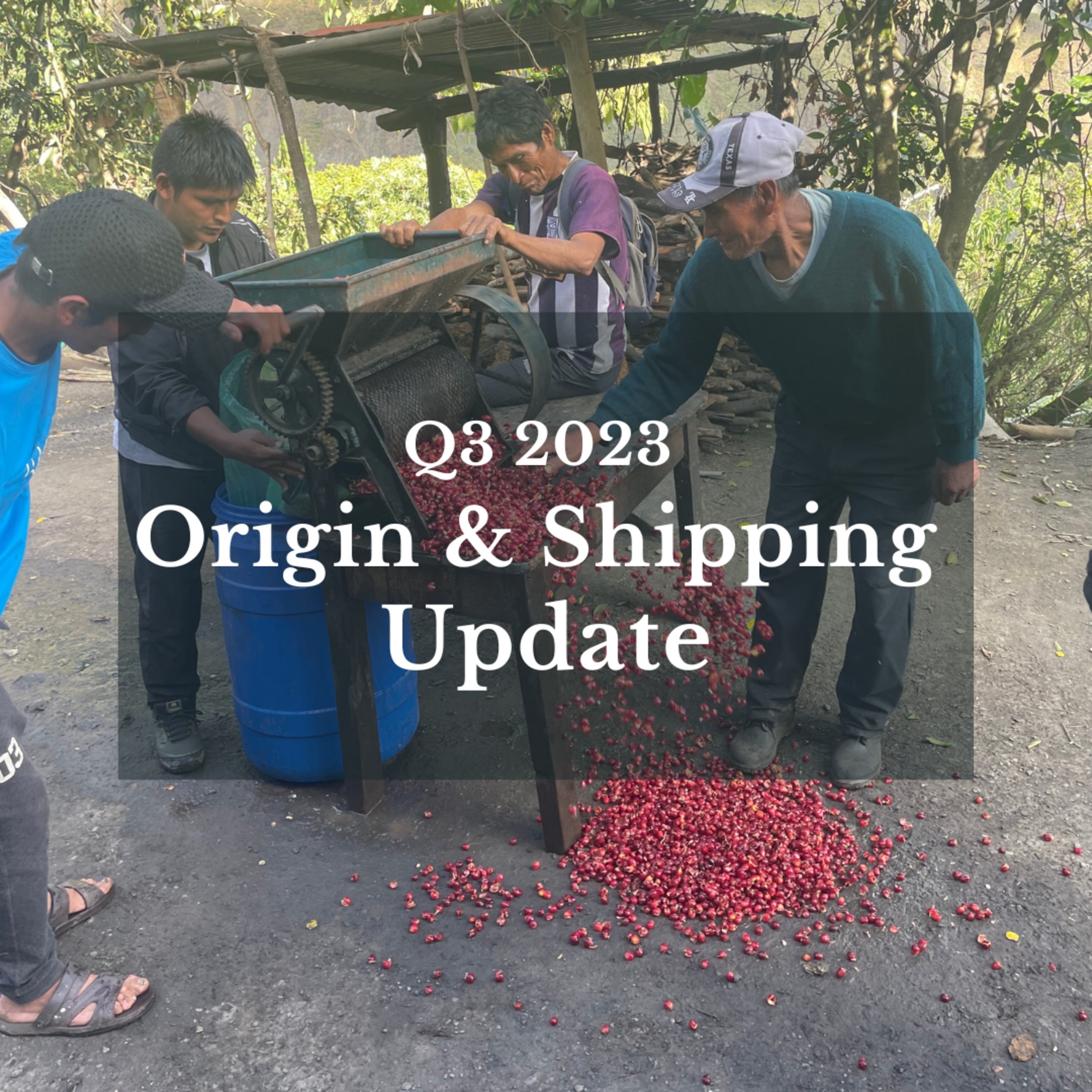 C Drops, Price Volatility Heading Into Peru Season: Q3 2023 episode artwork