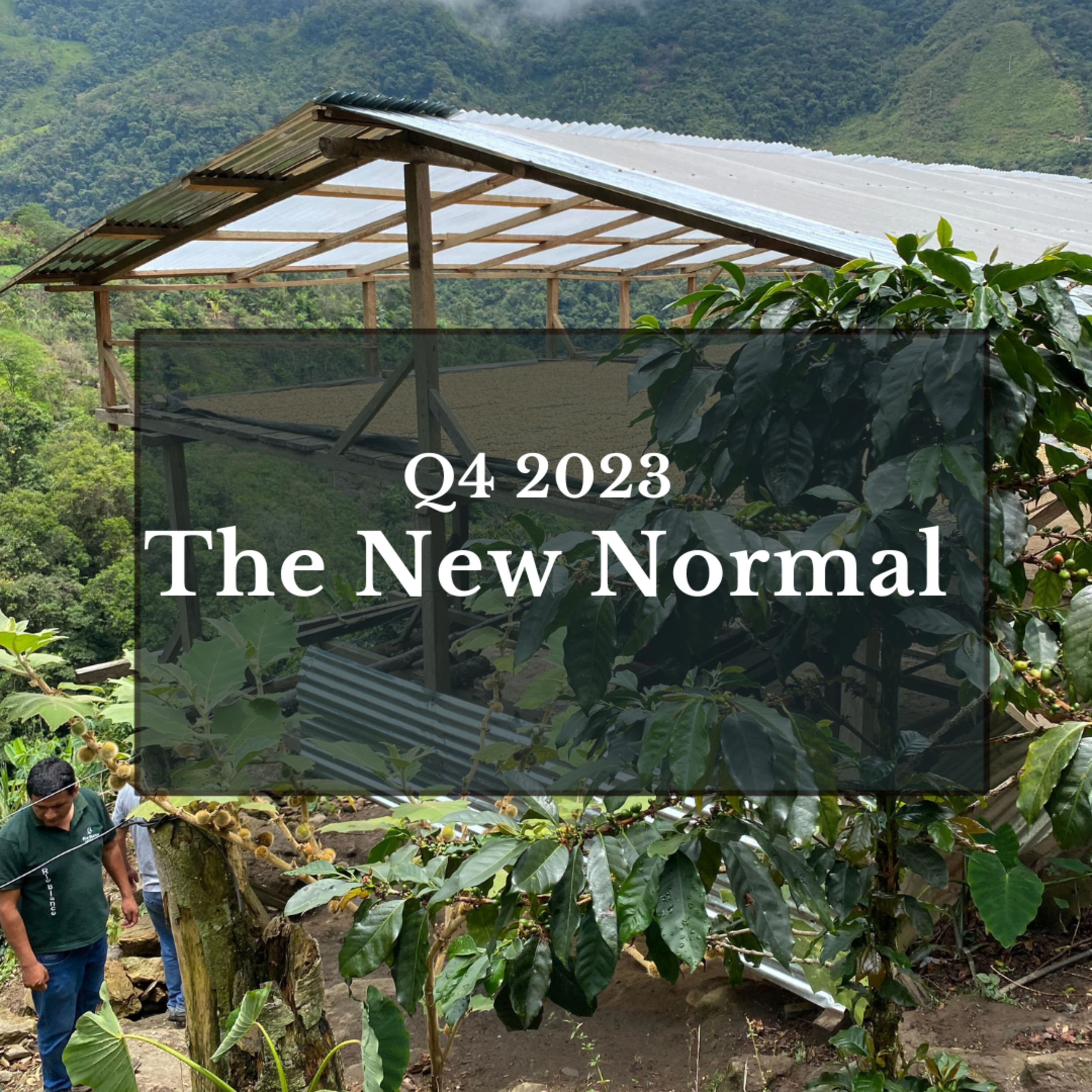 The New Normal: Q4 2023 episode artwork