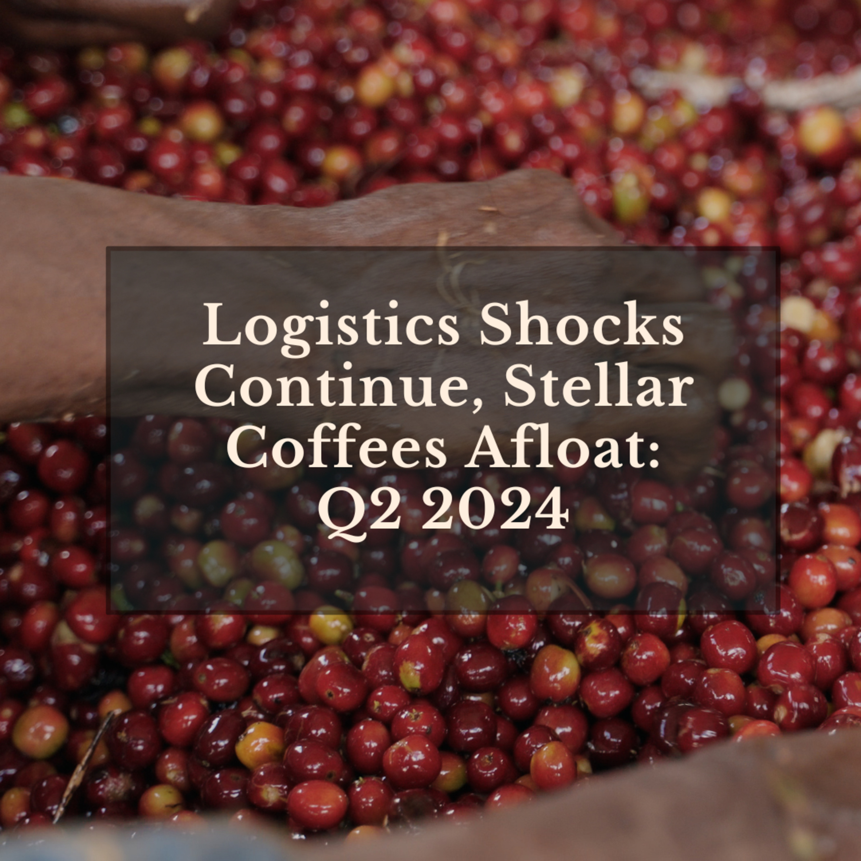 Logistics Shocks Continue, Stellar Coffees Afloat: Q2 2024 episode artwork
