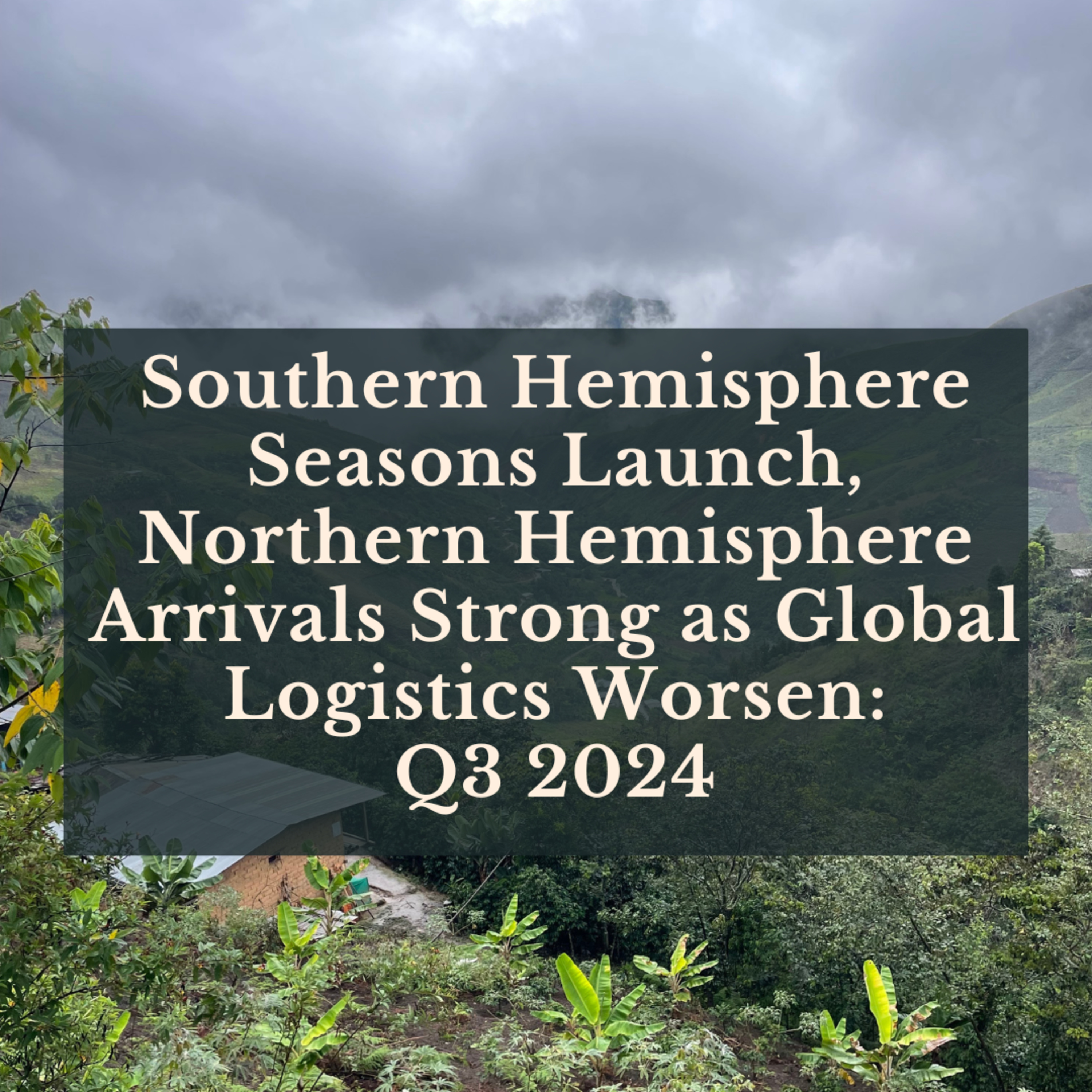 Southern Hemisphere Seasons Launch, Northern Hemisphere Arrivals Strong as Global Logistics Worsen: Q3 2024 episode artwork