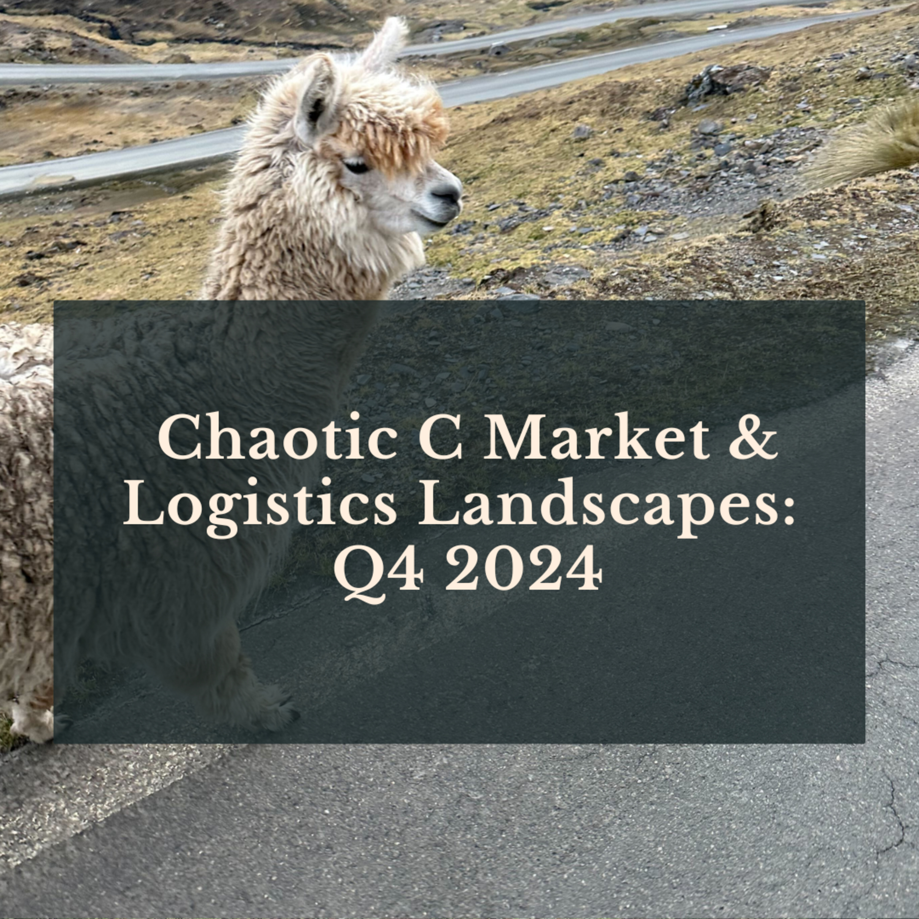 Chaotic C Market & Logistics Landscapes: Q4 2024 episode artwork