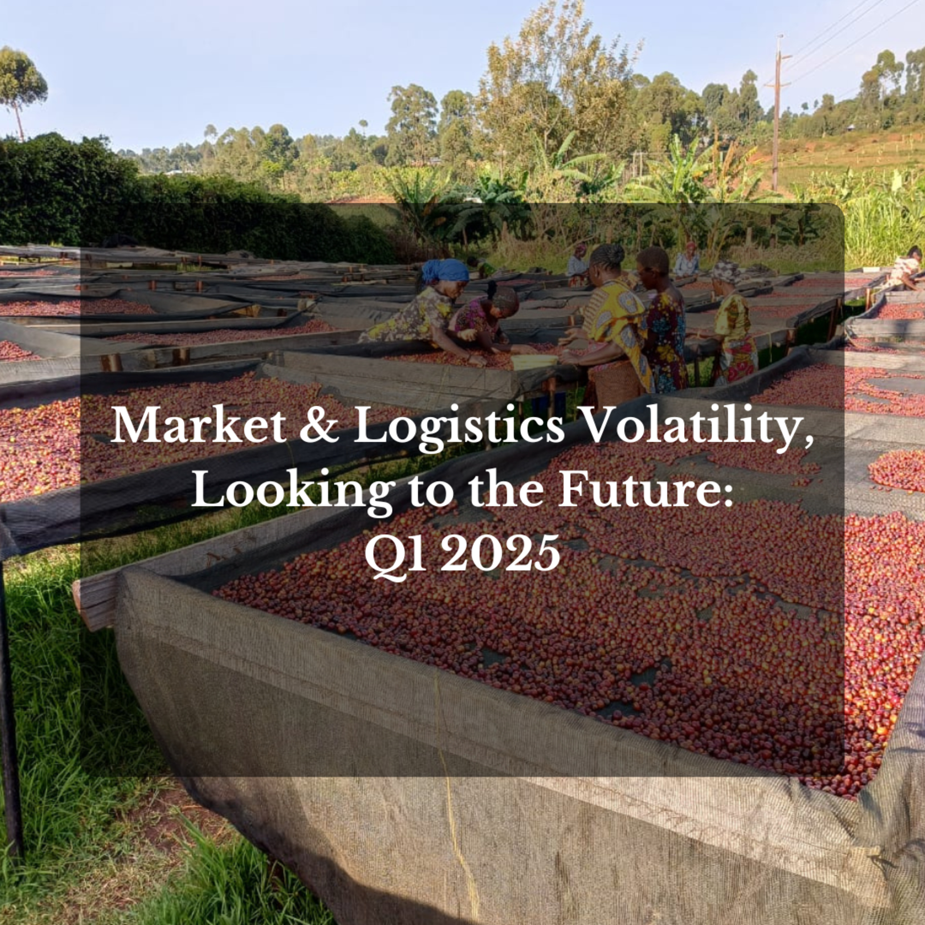 Market & Logistics Volatility, Looking to the Future: Q1 2025 episode artwork