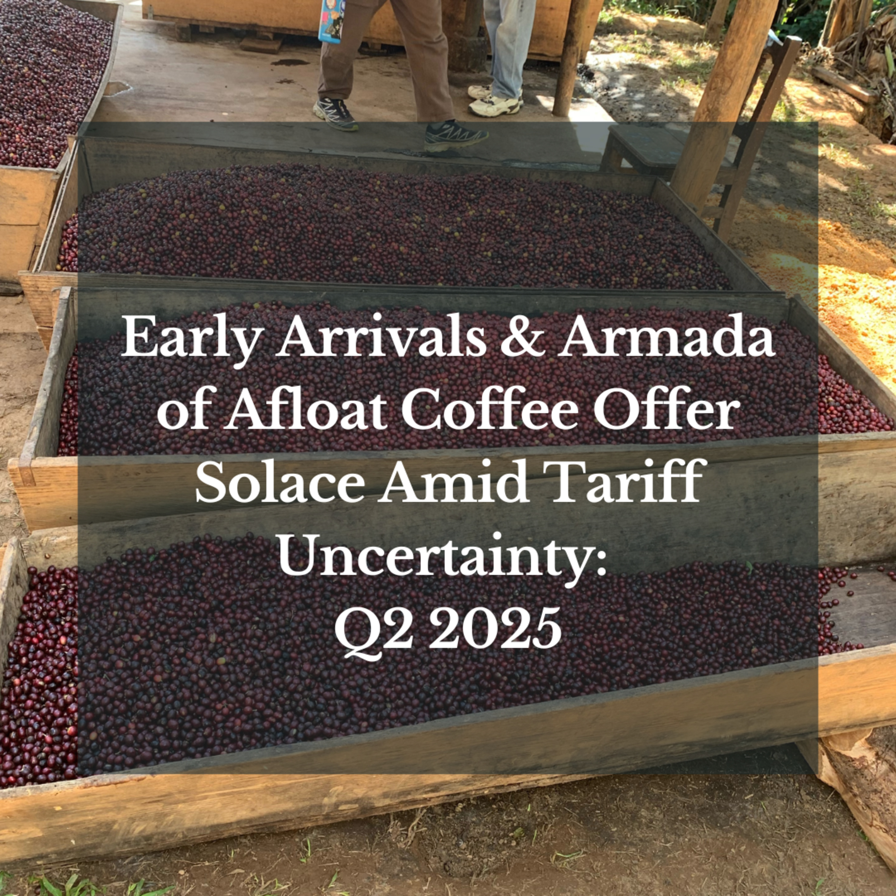 Early Arrivals & Armada of Afloat Coffee Offer Solace Amid Tariff Uncertainty: Q2 2025 episode artwork