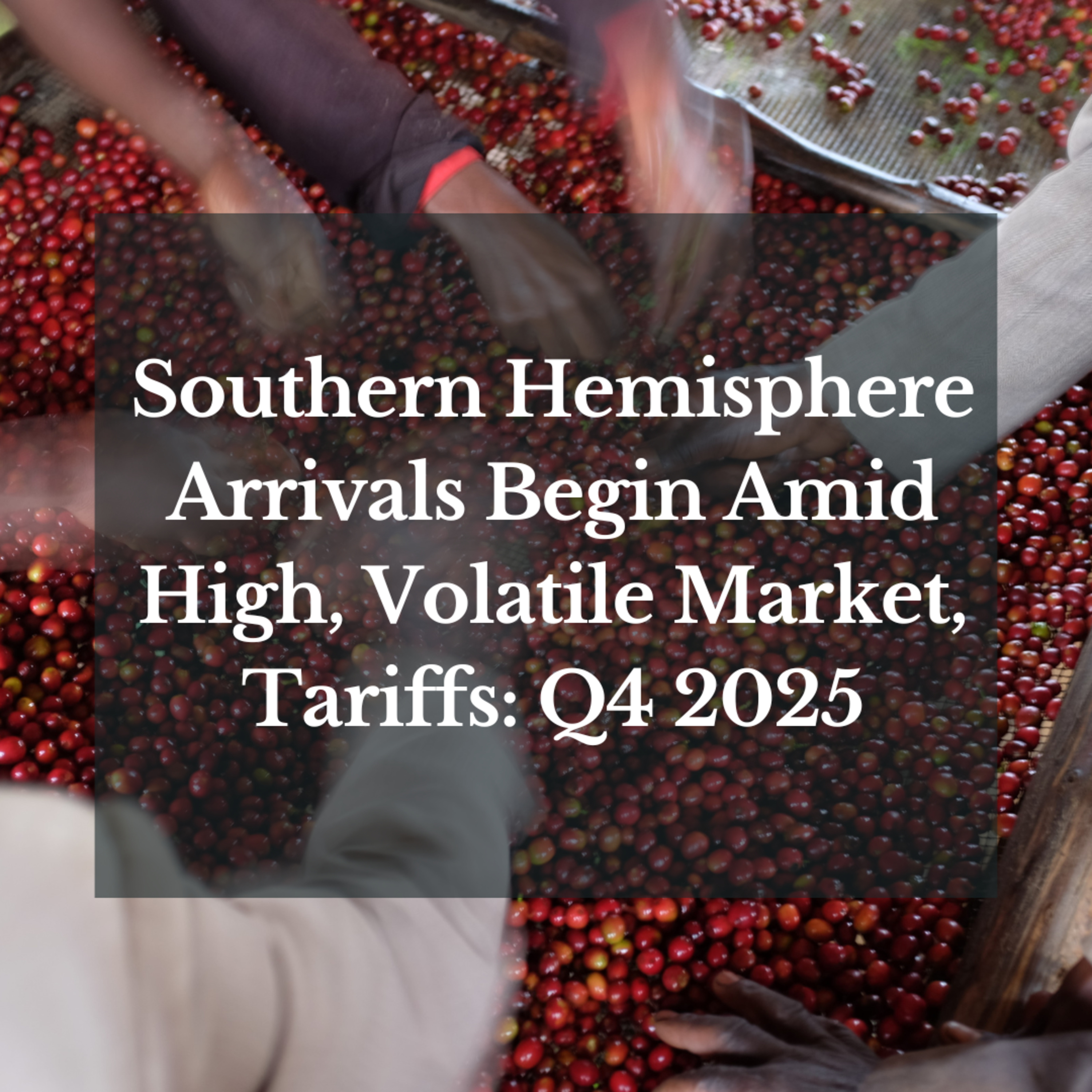 Southern Hemisphere Arrivals Begin Amid High, Volatile Market, Tariffs: Q4 2025 episode artwork