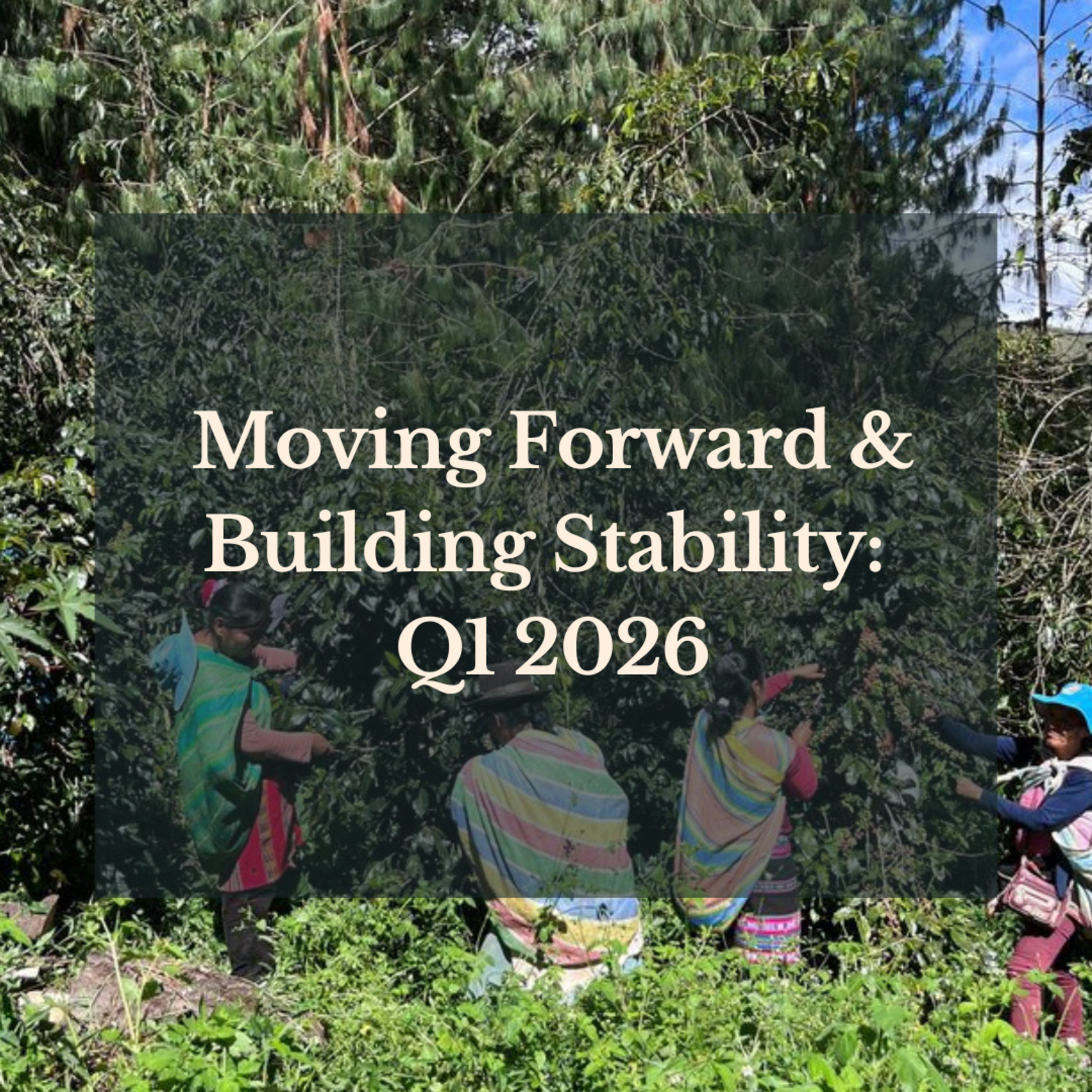 Building Stability Amidst the Chaos: Q1 2026 episode artwork