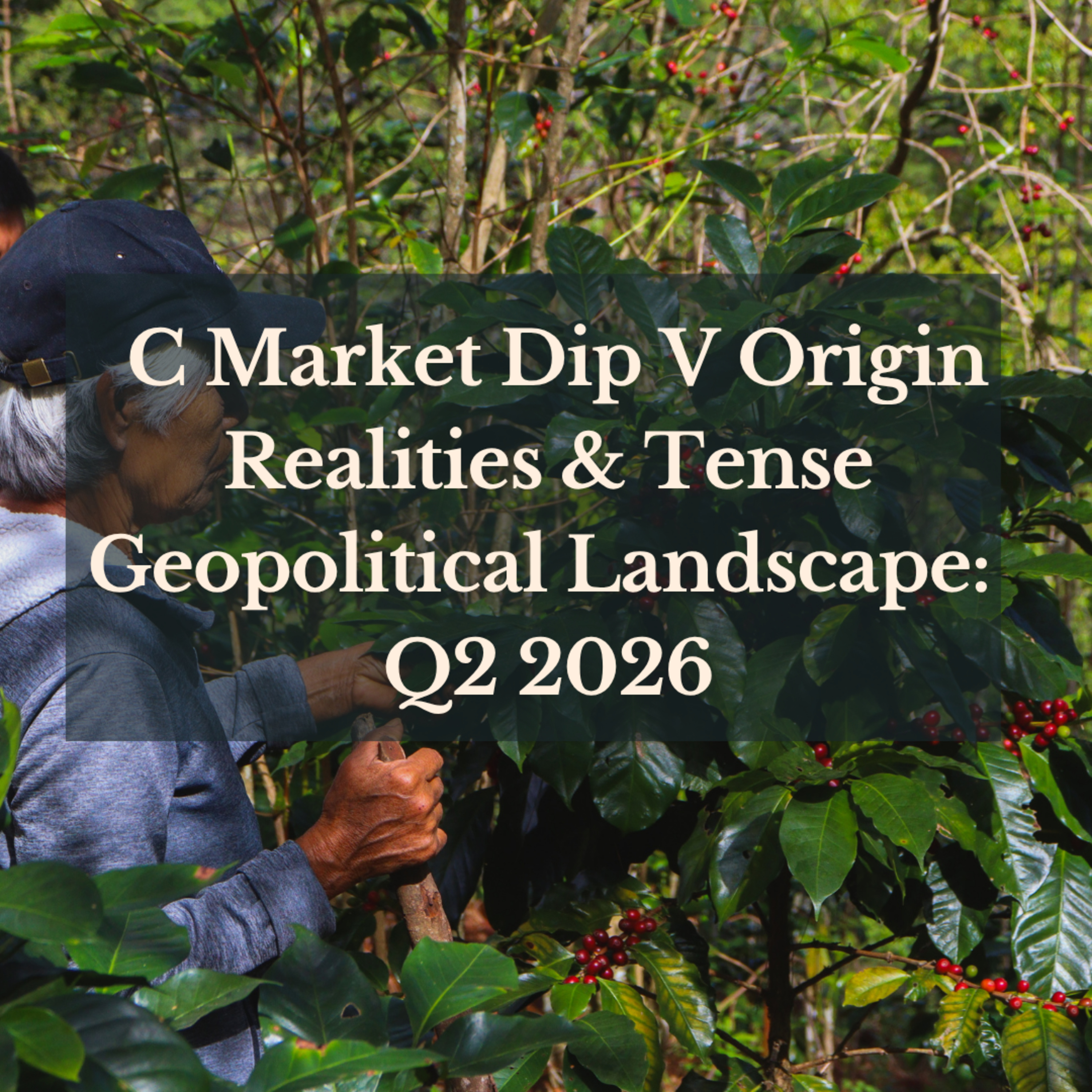  C Market Dip V Origin Realities & Tense Geopolitical Landscape: Q2 2026 episode artwork