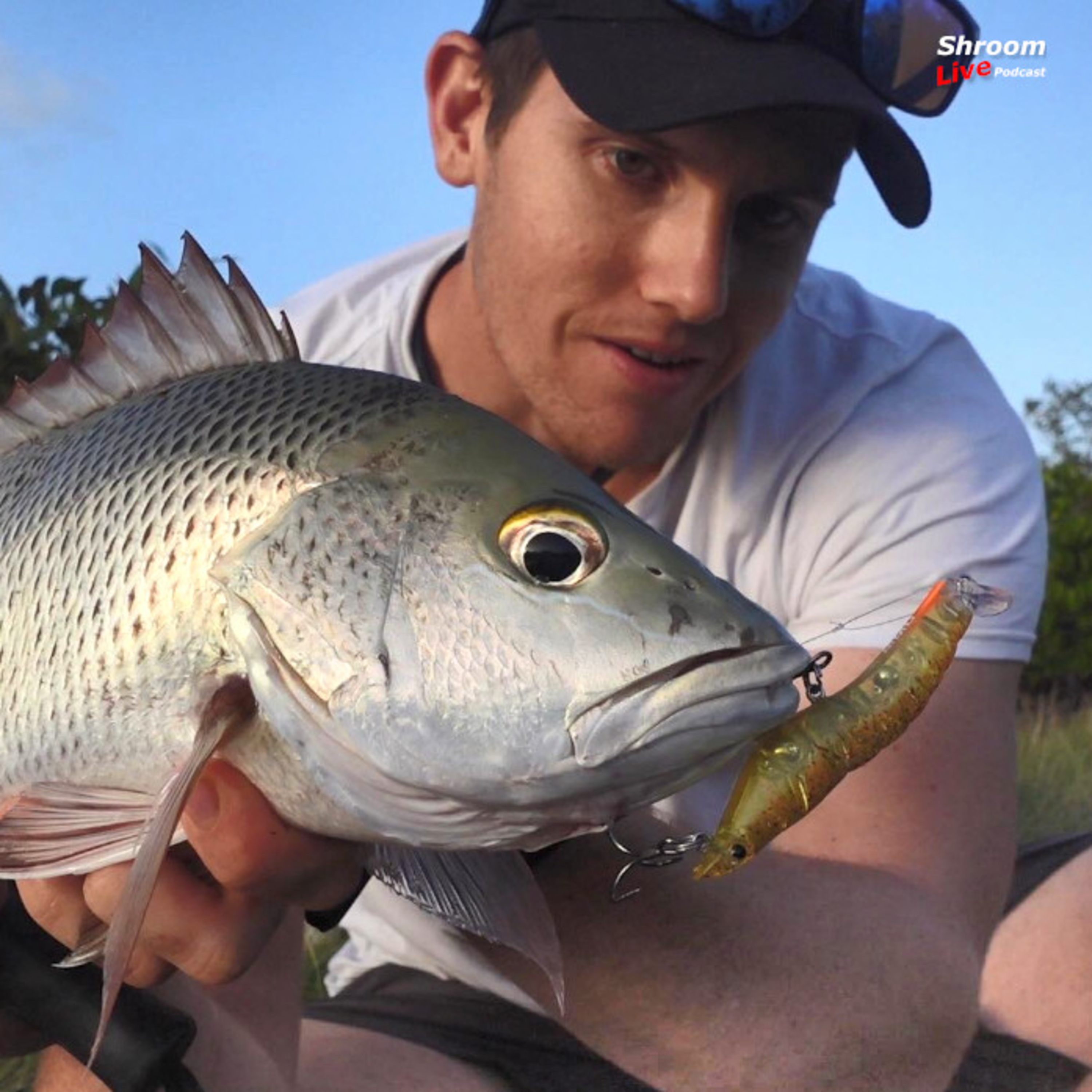EP17 QLD Mangrove Jack SEQ | Dan Goulding 'Dang Fishing'