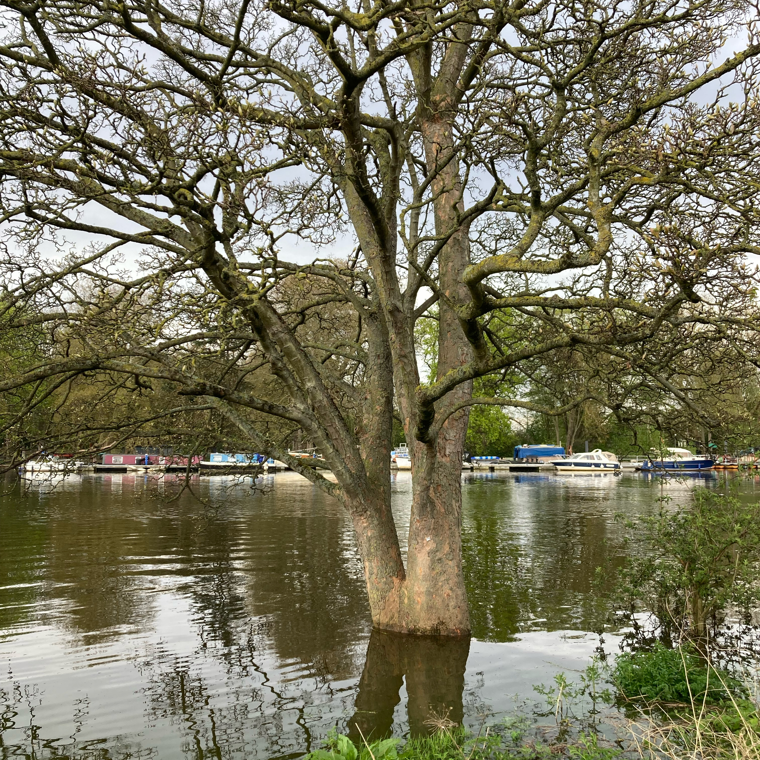 Sm2n 2025-04-13 #NaPodPoMoNPC #AprPodPoMo