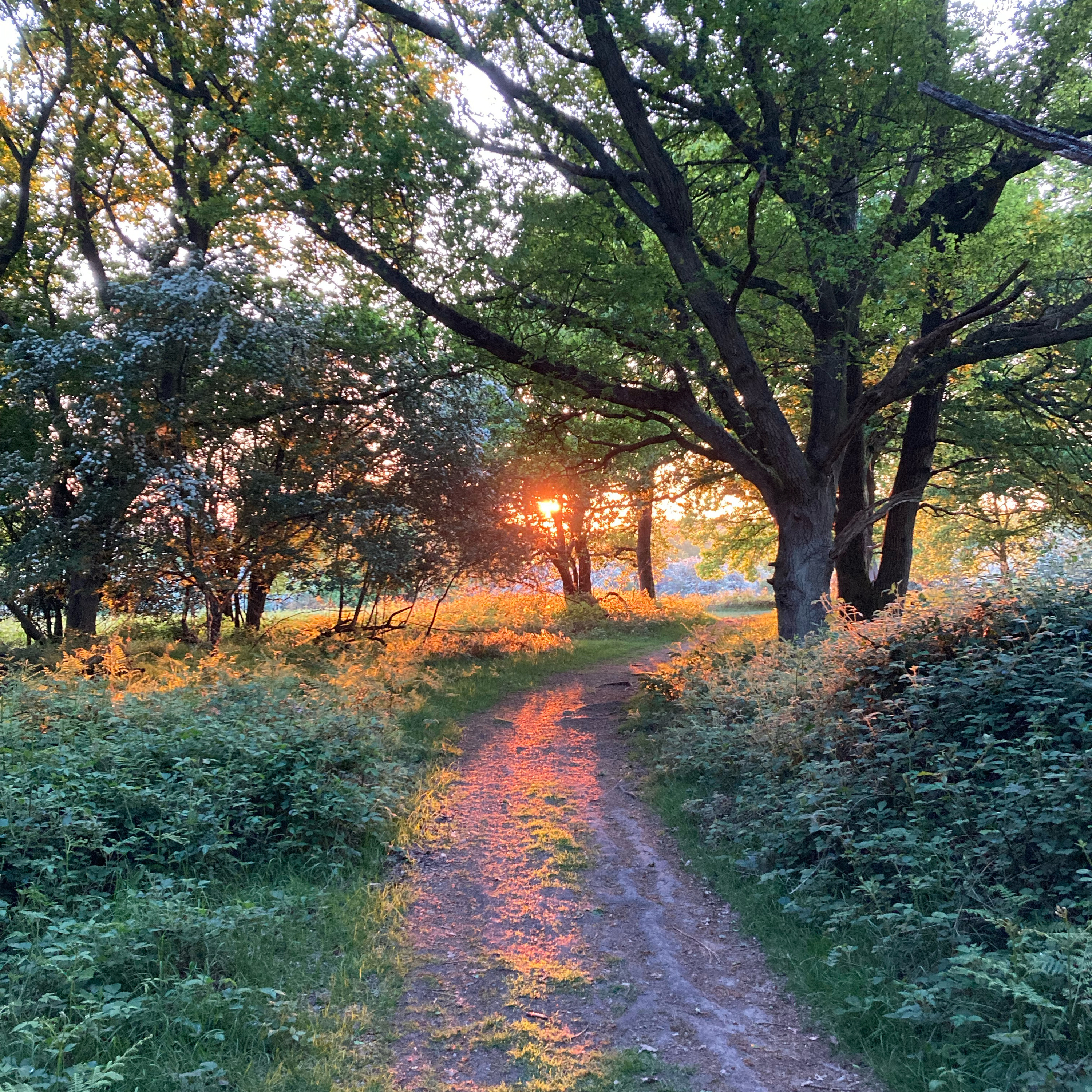 Sm2n 2025-05-09 The Confidence of Phase 2 #MayPodPoMo episode 7